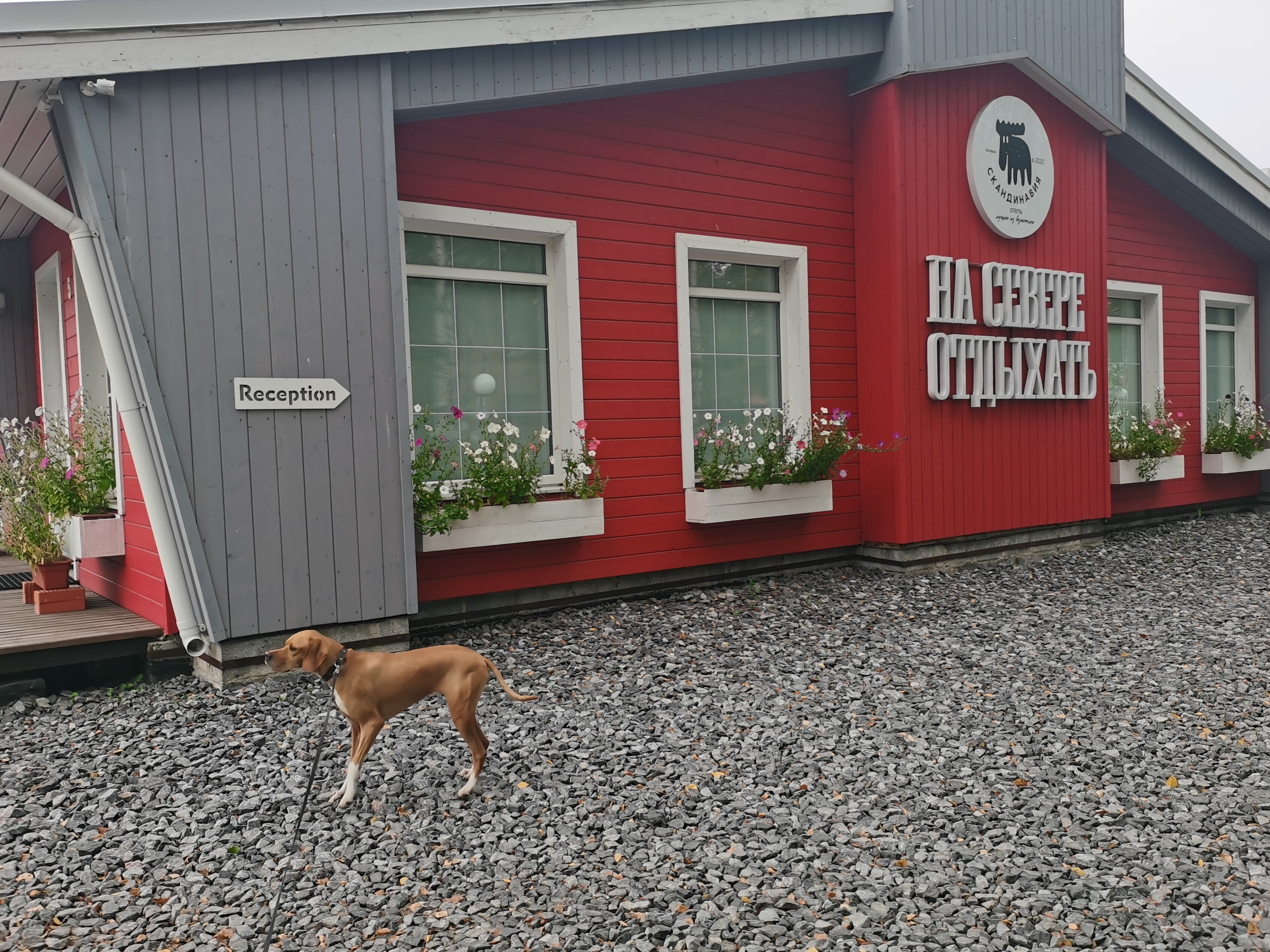 Фото Скандинавия