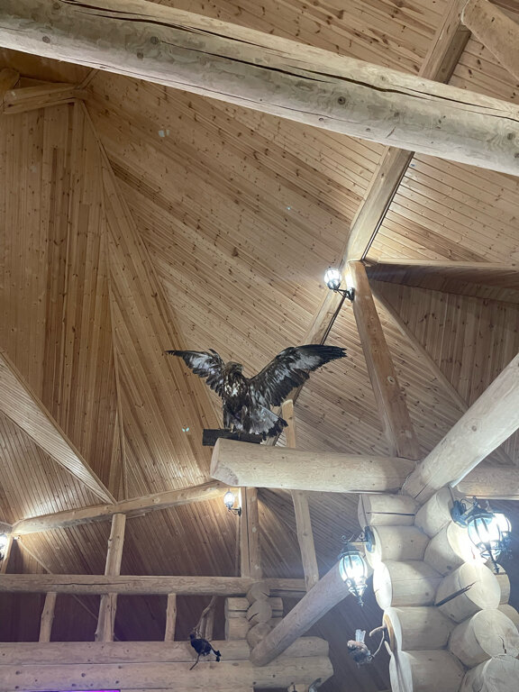 Фото Парк-отель Красновидово