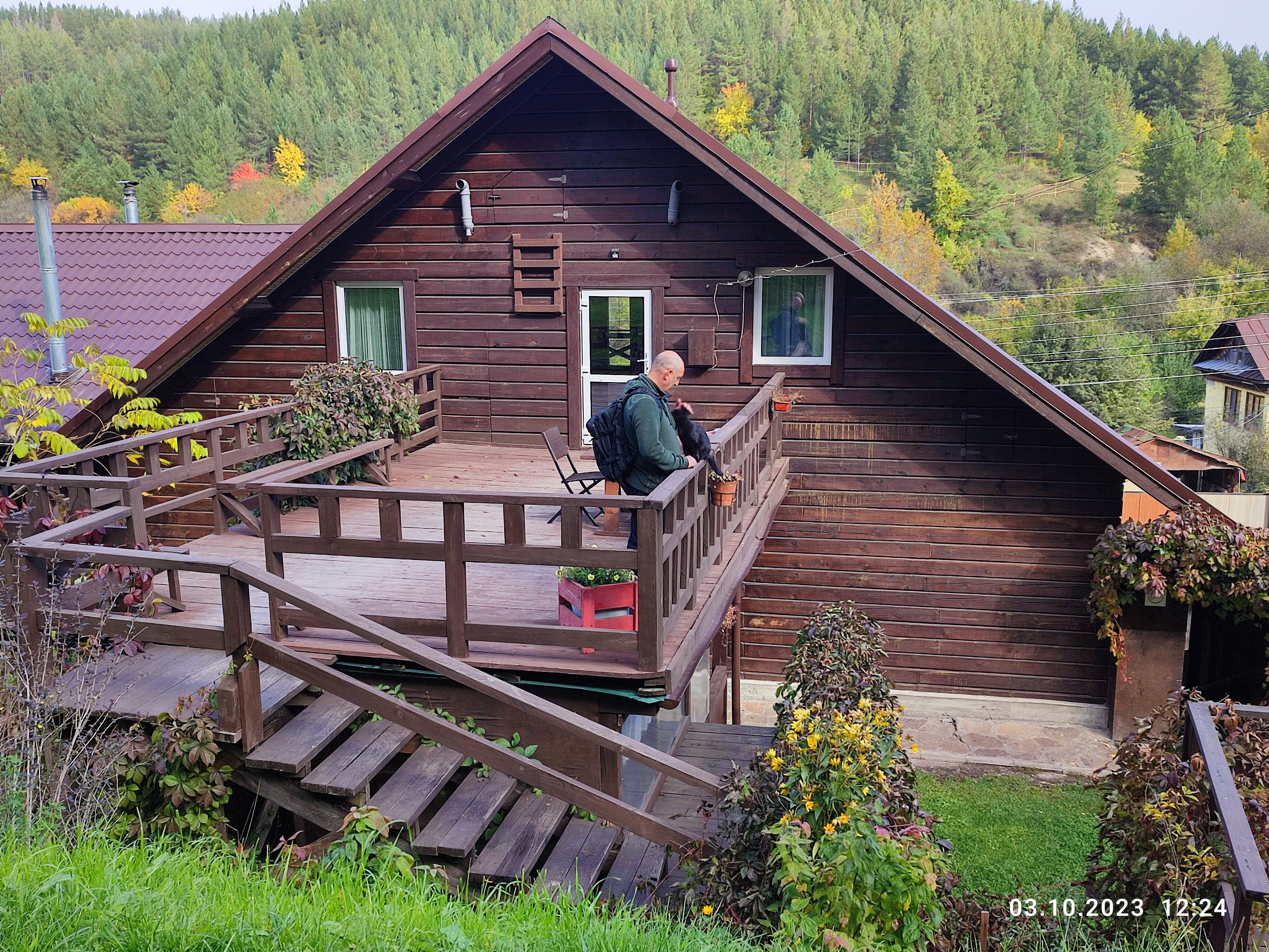 Фото Горная Пчела