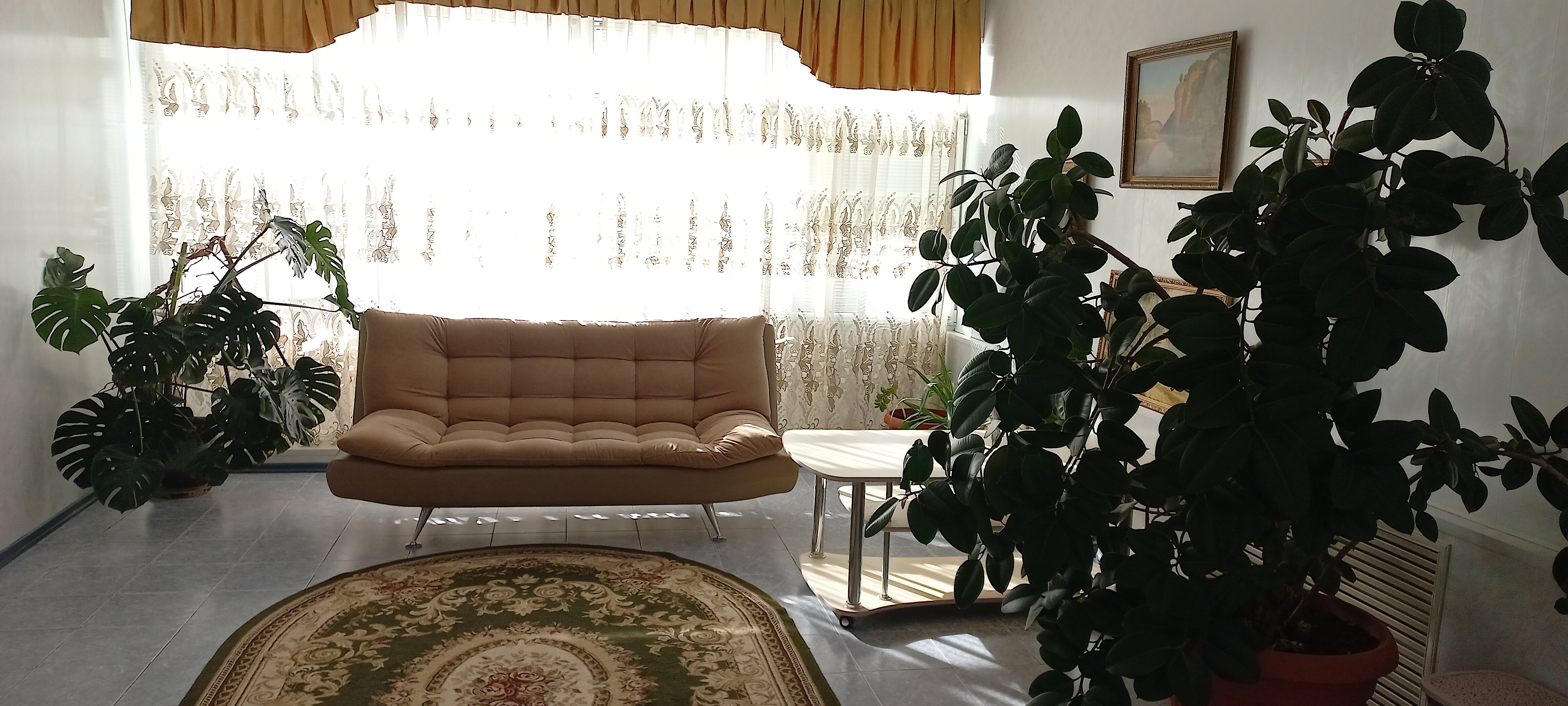 Фото У Палыча