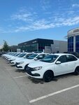 Premium (Uritskogo Street, 23Бк2), car rental