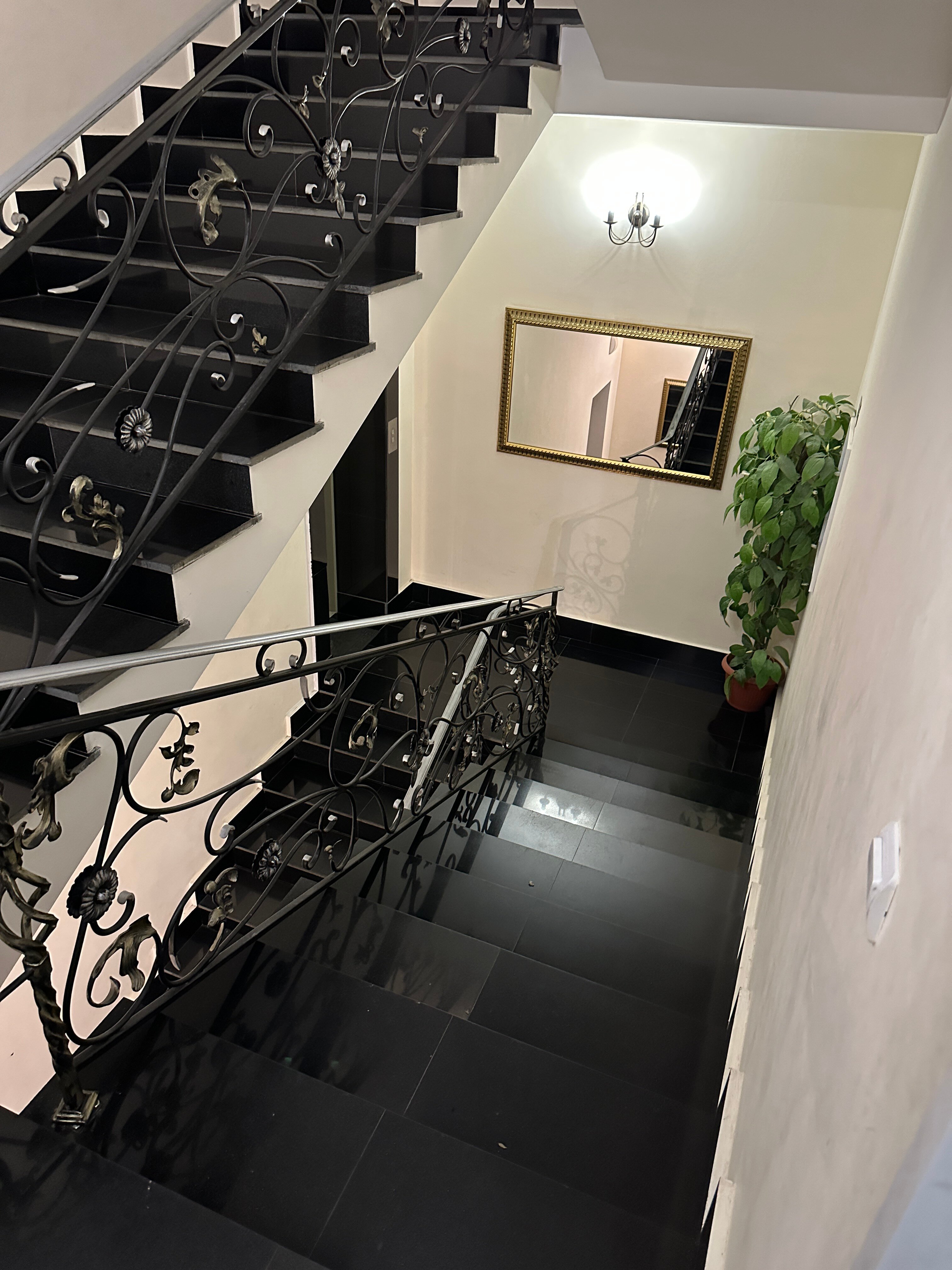 Фото Frant Hotel