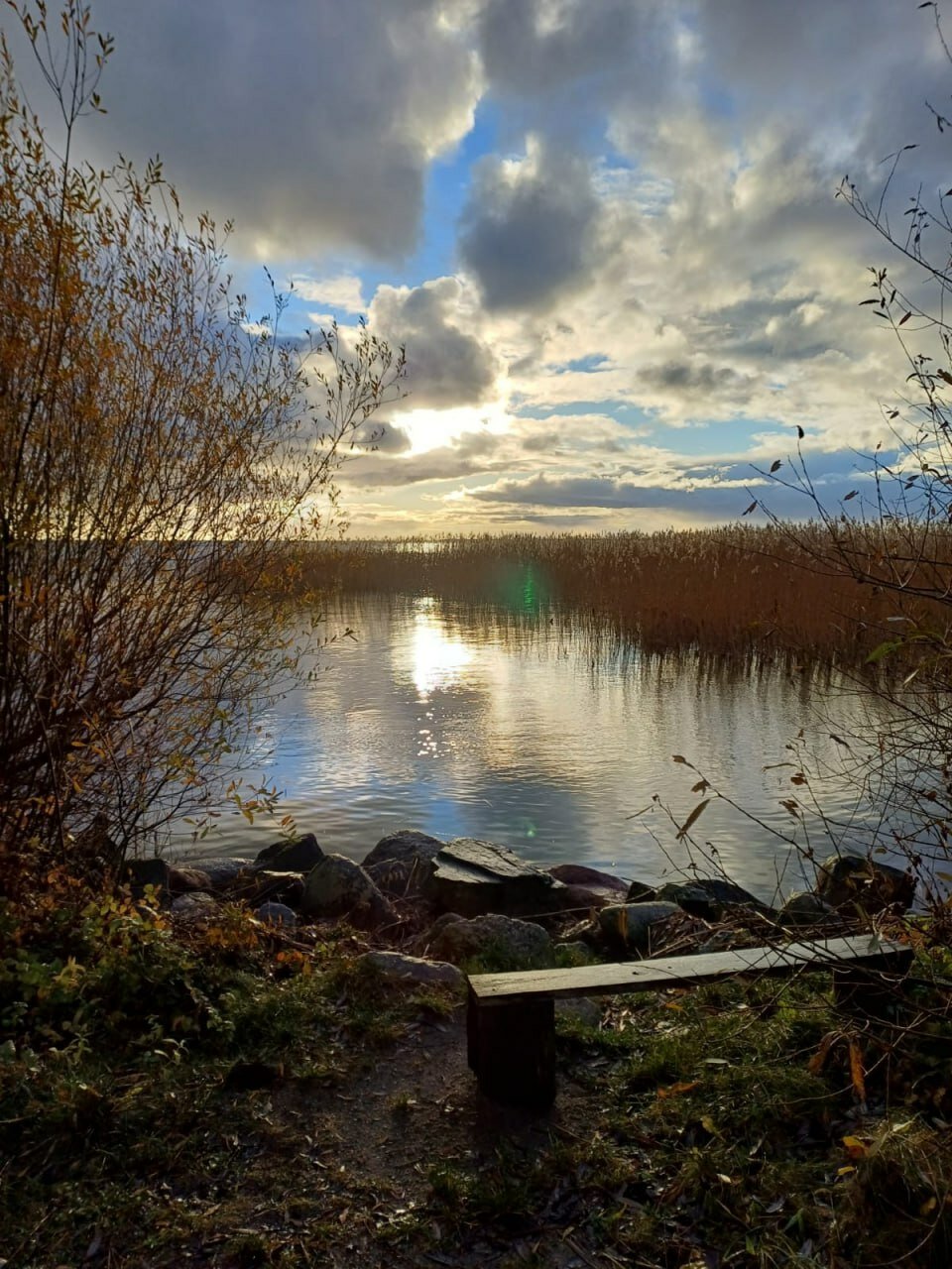 Фото Куршале
