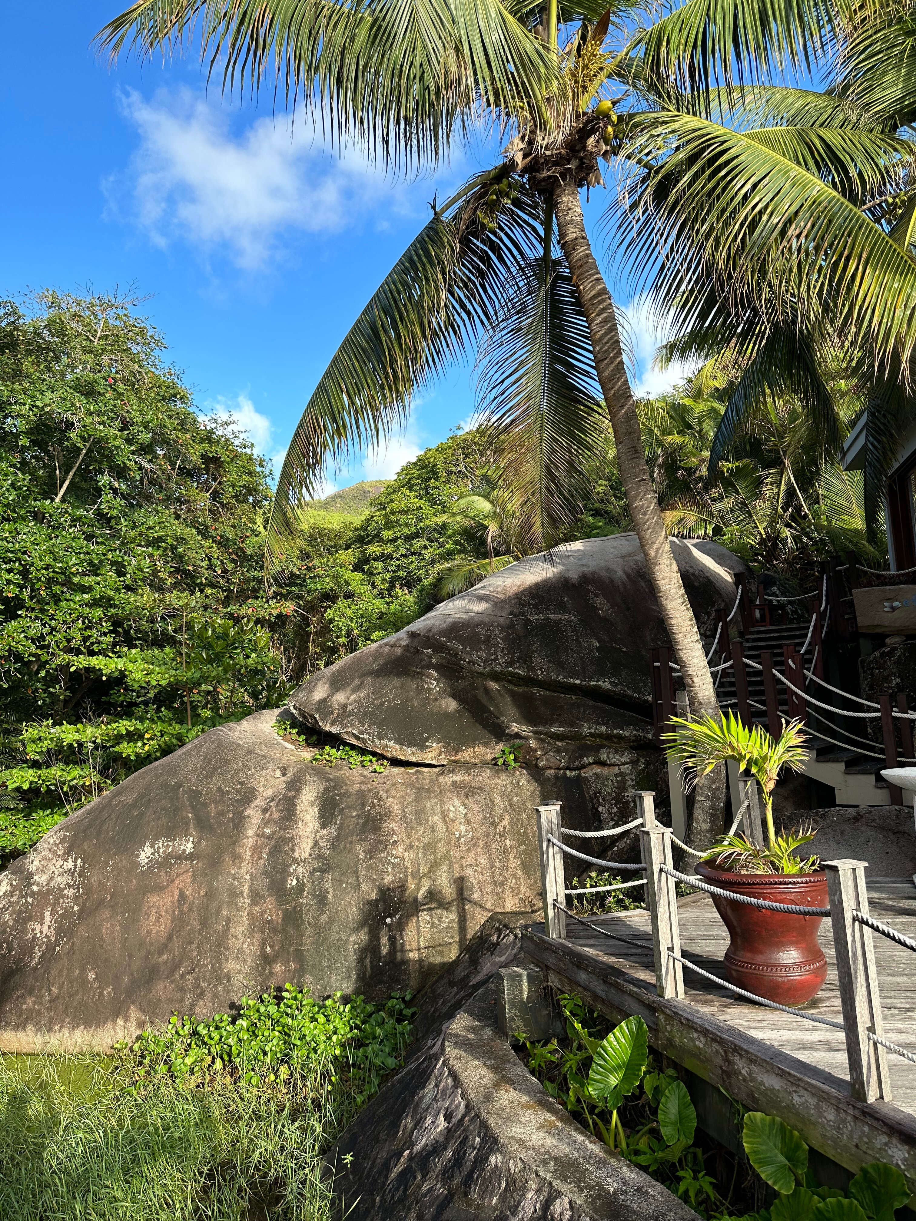 Фото DoubleTree by Hilton Seychelles - Allamanda Resort and SPA