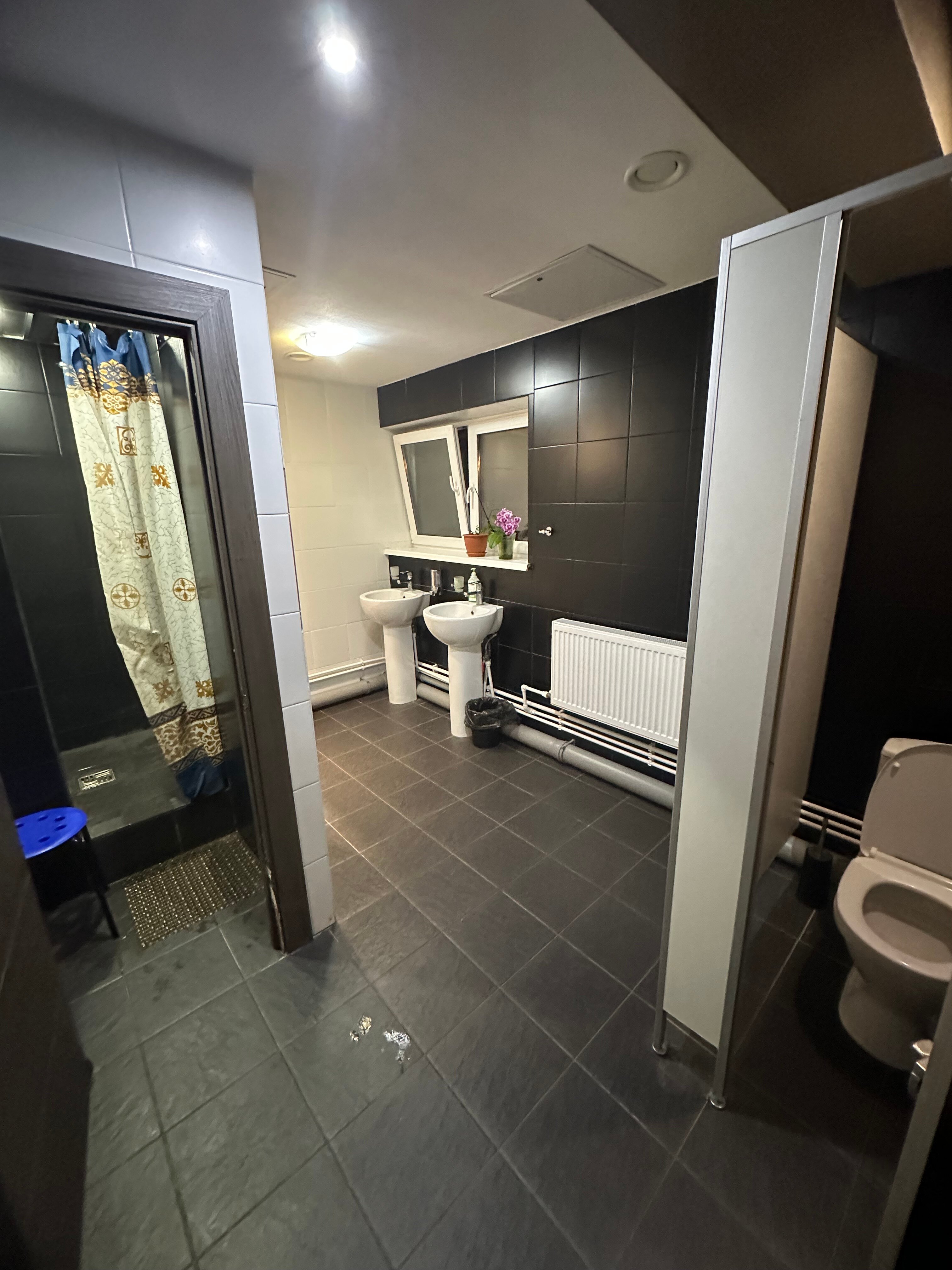 Фото Папина дача