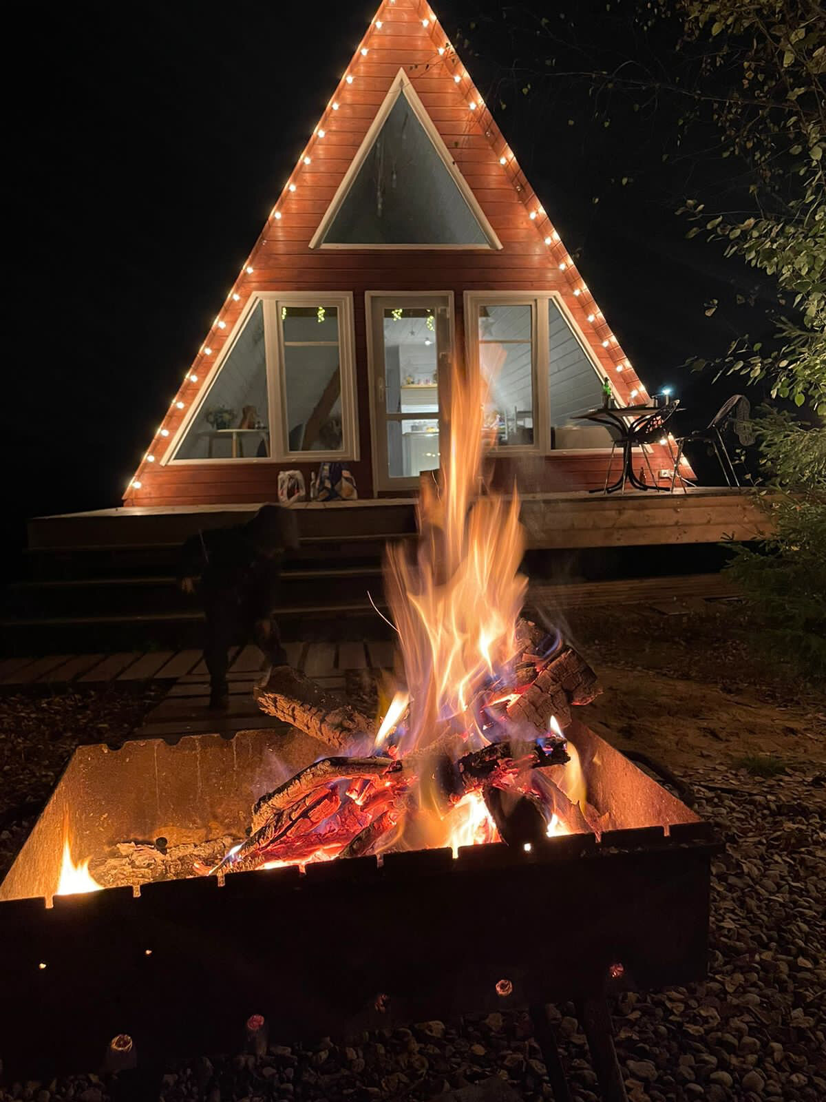 Фото Хайд Форест