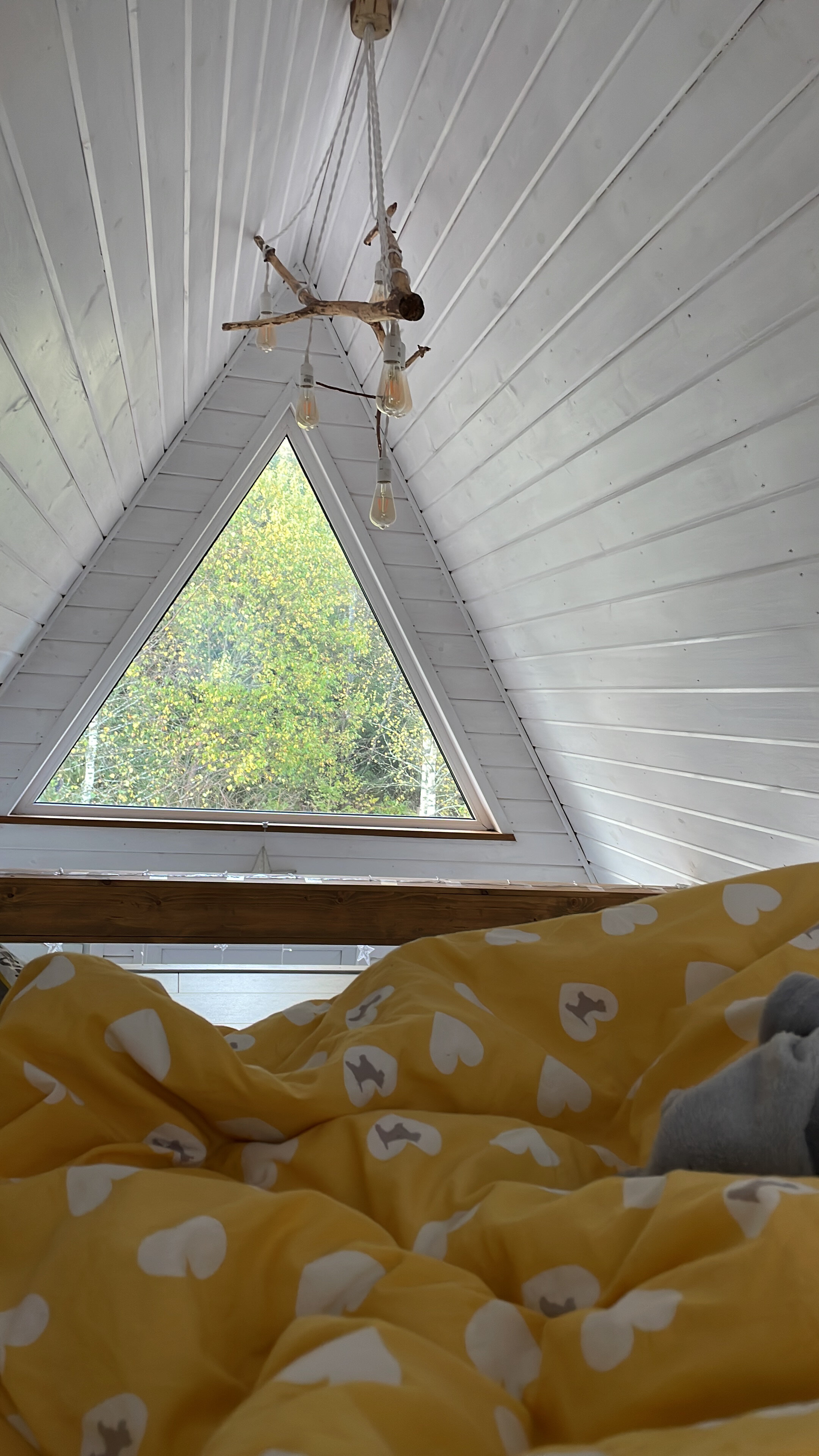 Фото Хайд Форест