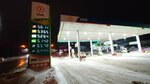 EcoМаркет (Voronezhskaya Street, 17), engine oils