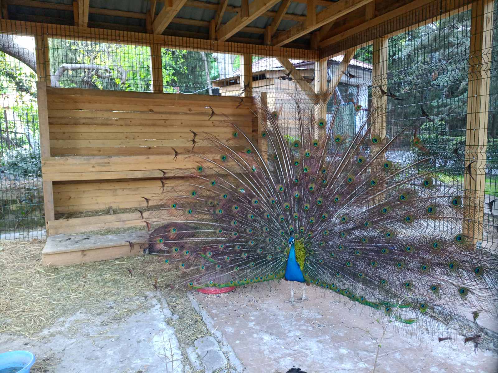 Фото Пушкино