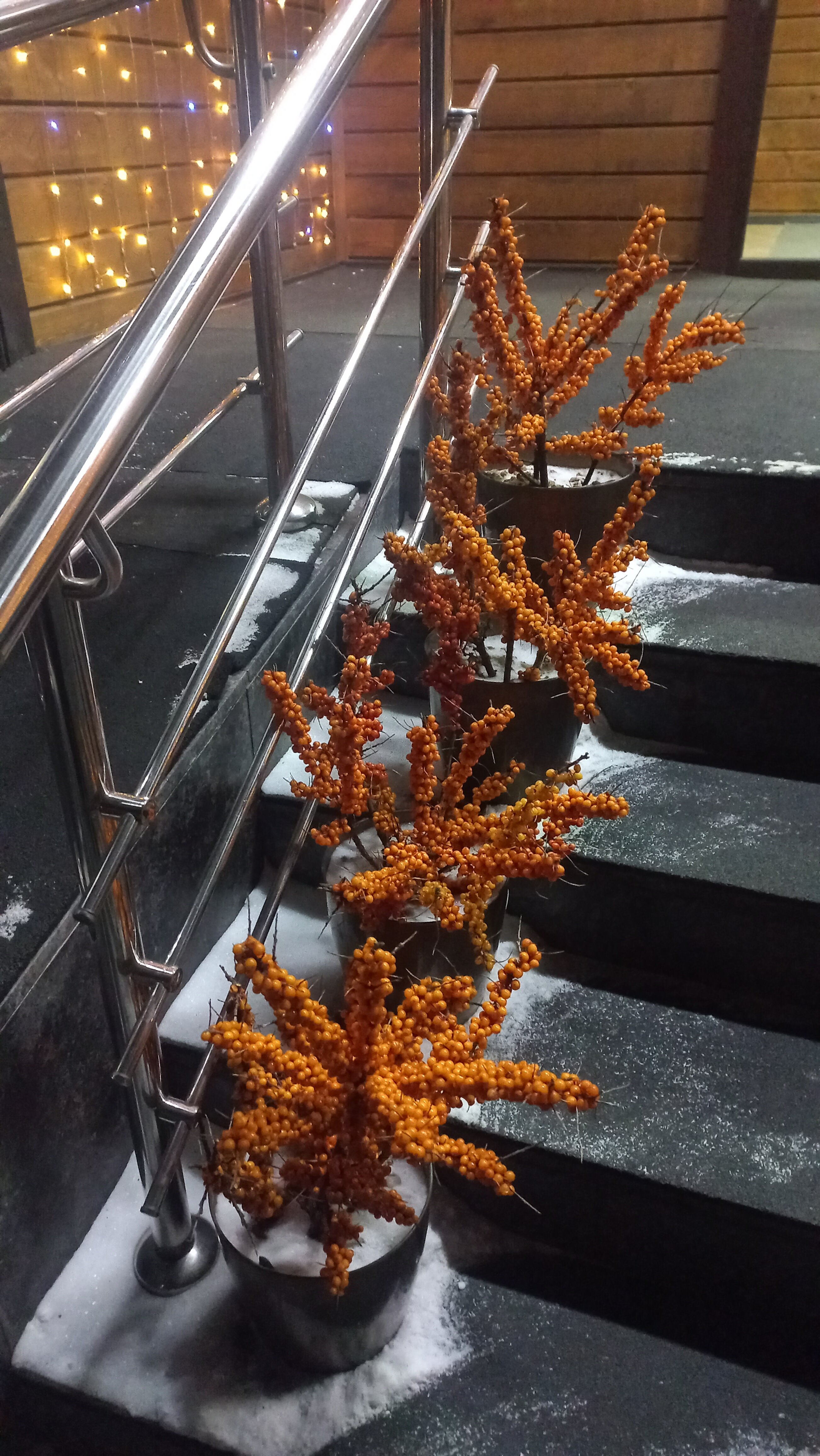 Фото Времена года