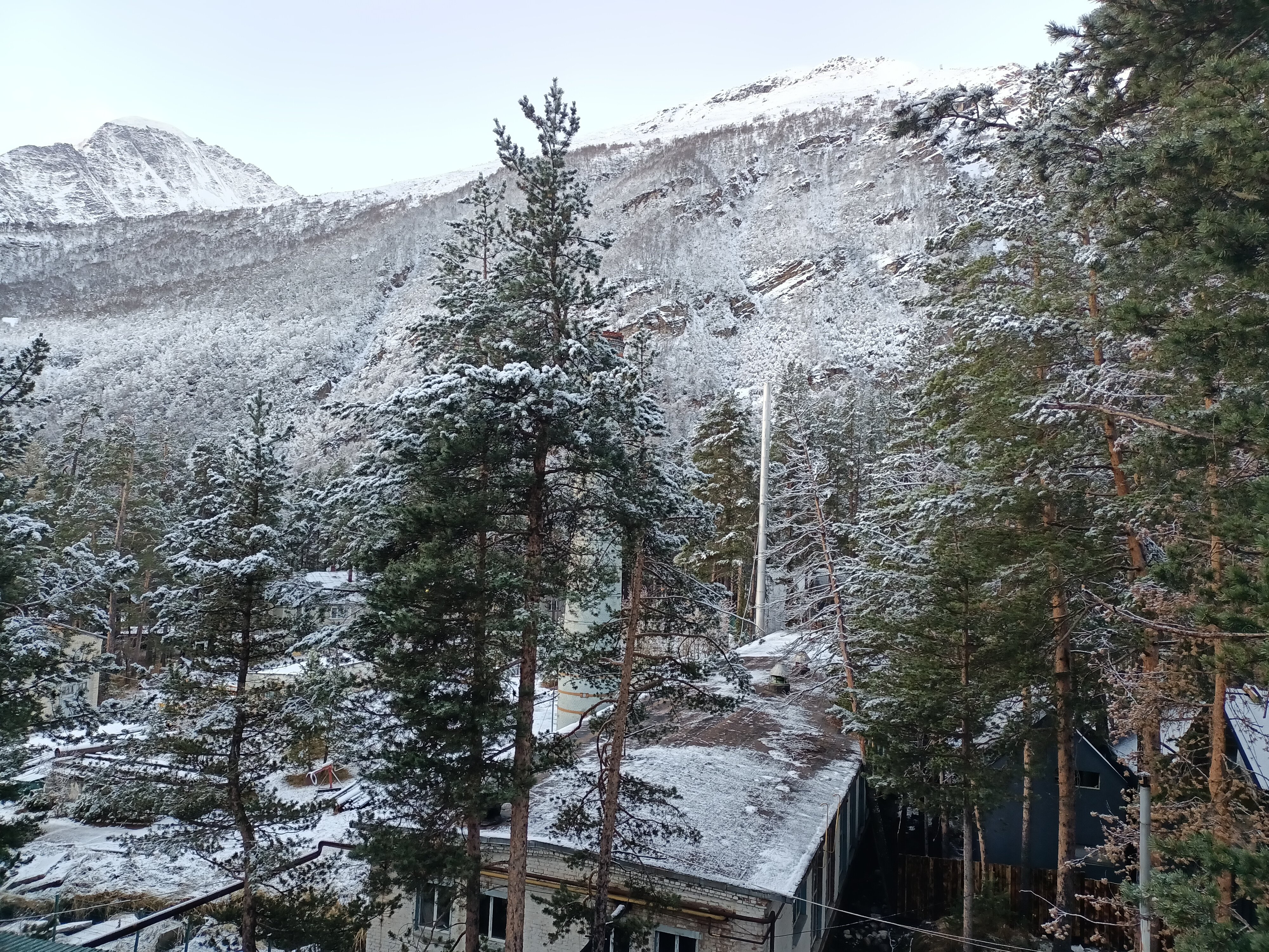 Фото Адамас