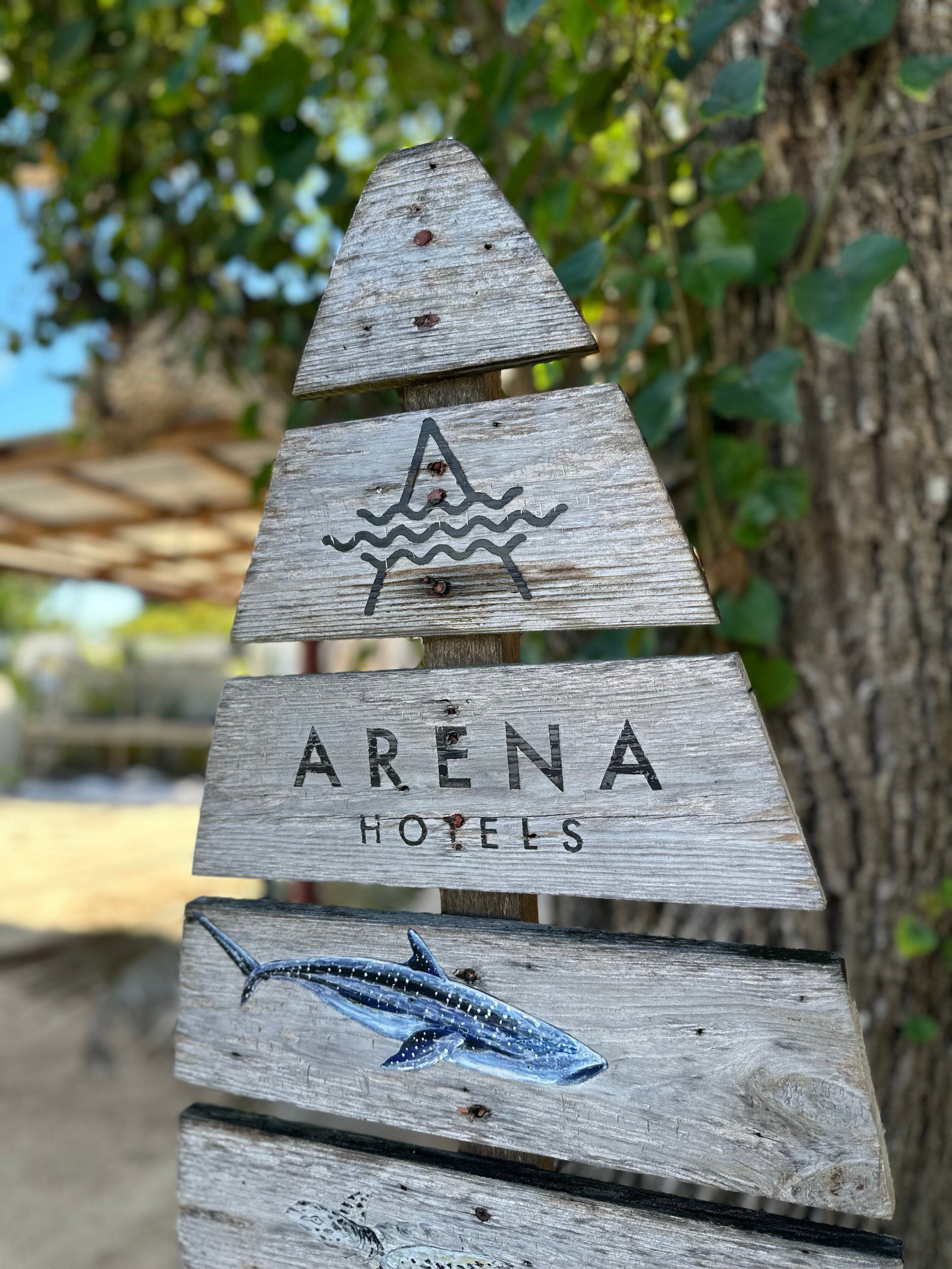 Фото Arena Beach Hotel