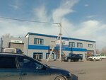 Body Parts and Headlights Boutique (Beyimbet Maylïn street, 18), auto parts and auto goods store