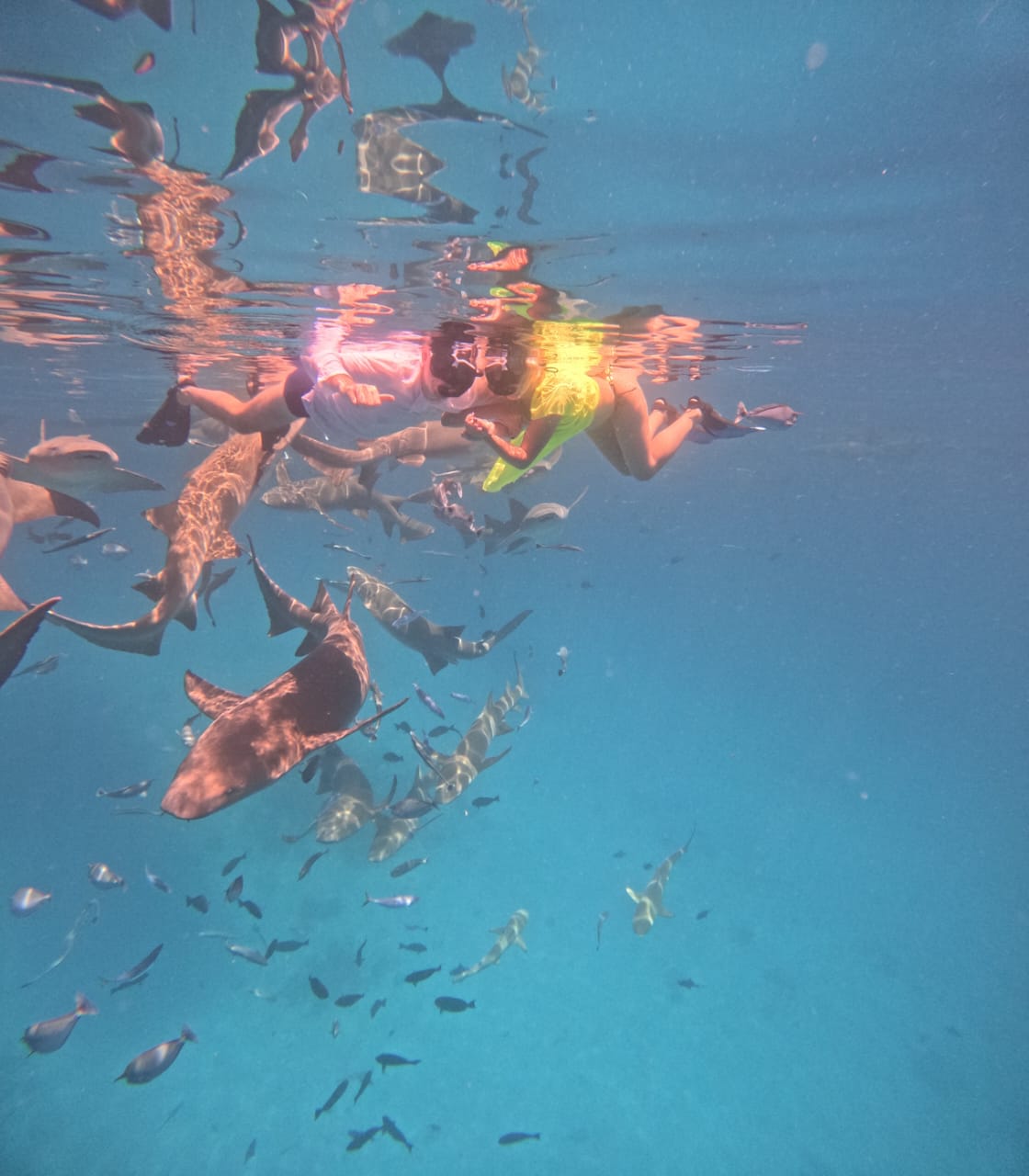 Фото Arena Beach Hotel