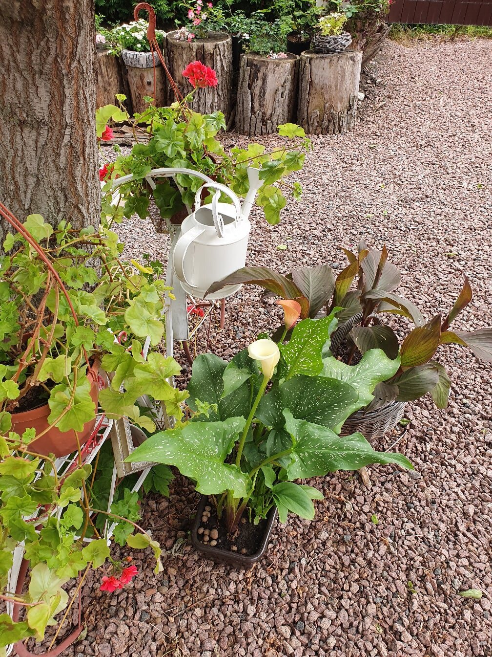 Фото В Коломне