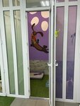 Pets Hotel (ulitsa Geroyev-Razvedchikov, 12/1), pet hotel