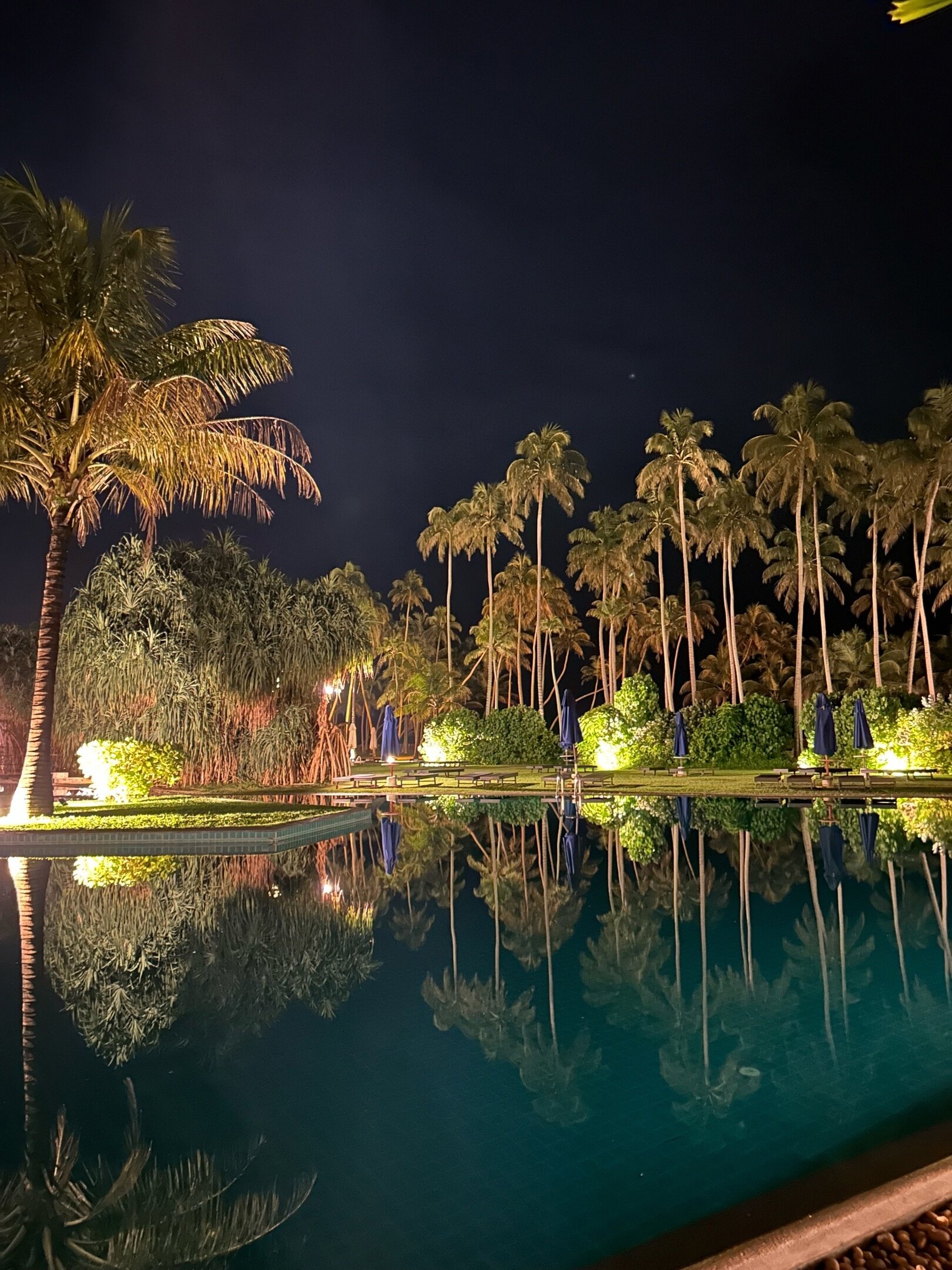 Фото The Blue Water