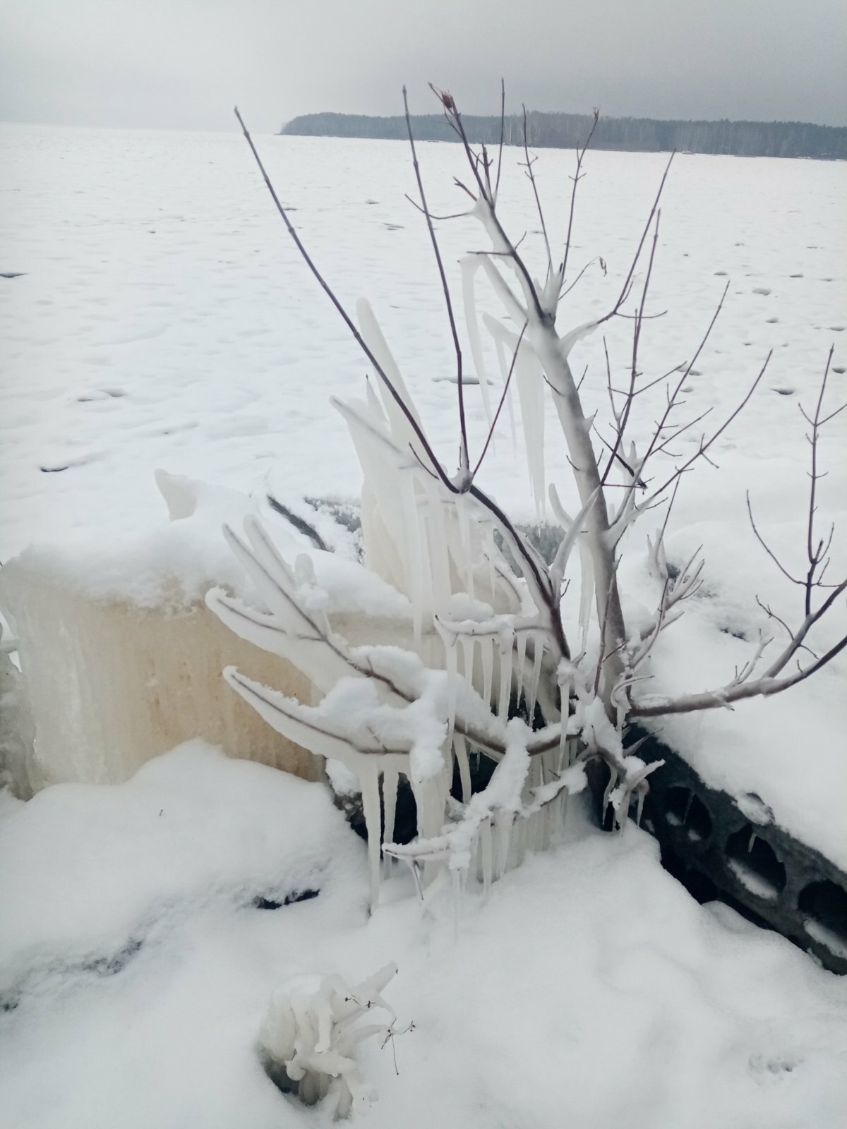 Фото Нептун