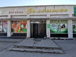 Продовольственный магазин (rabochiy posyolok Krasnoobsk, 93), grocery
