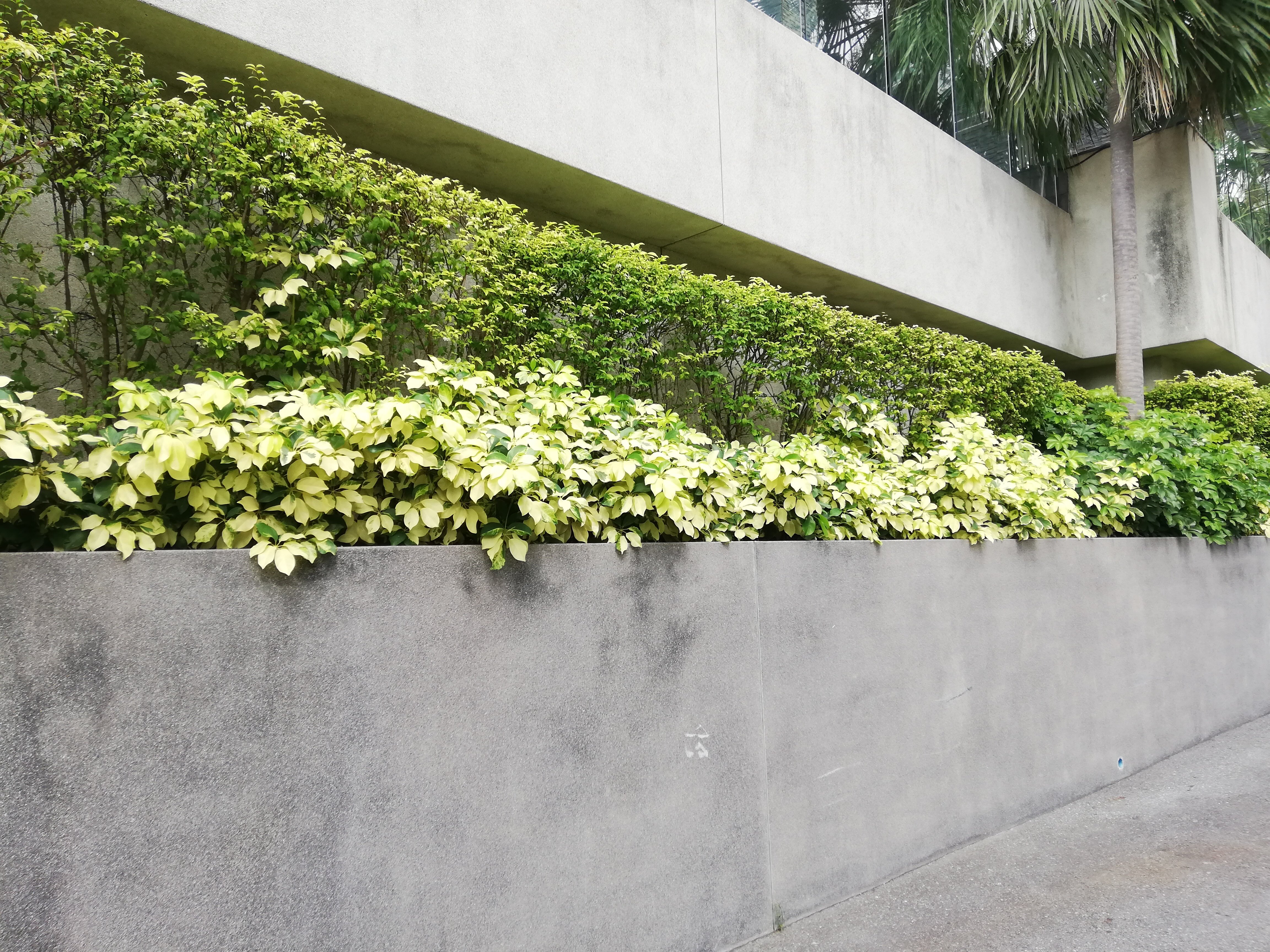 Фото The Palm Wongamat Beach Pattaya