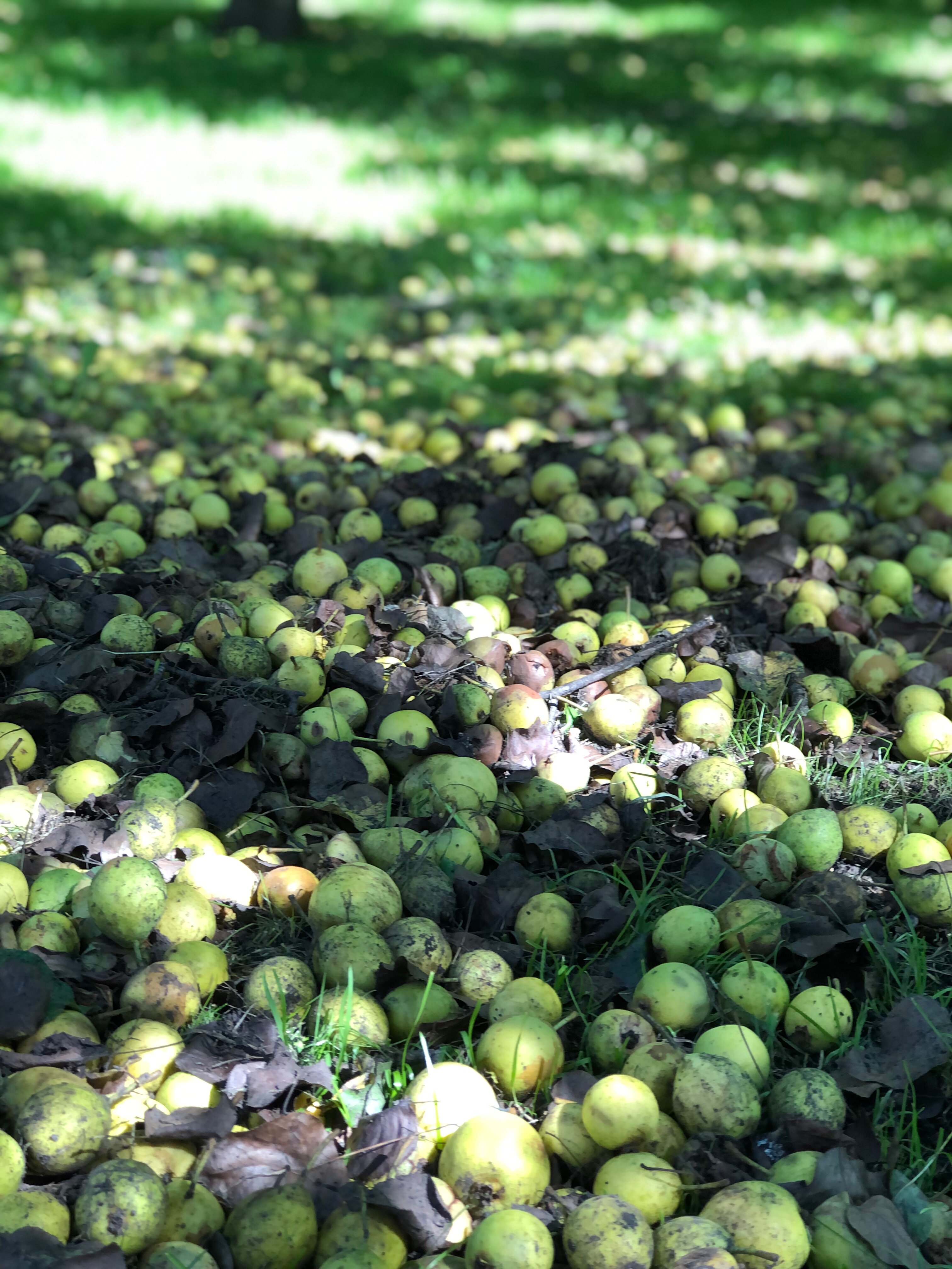 Фото Горный источник