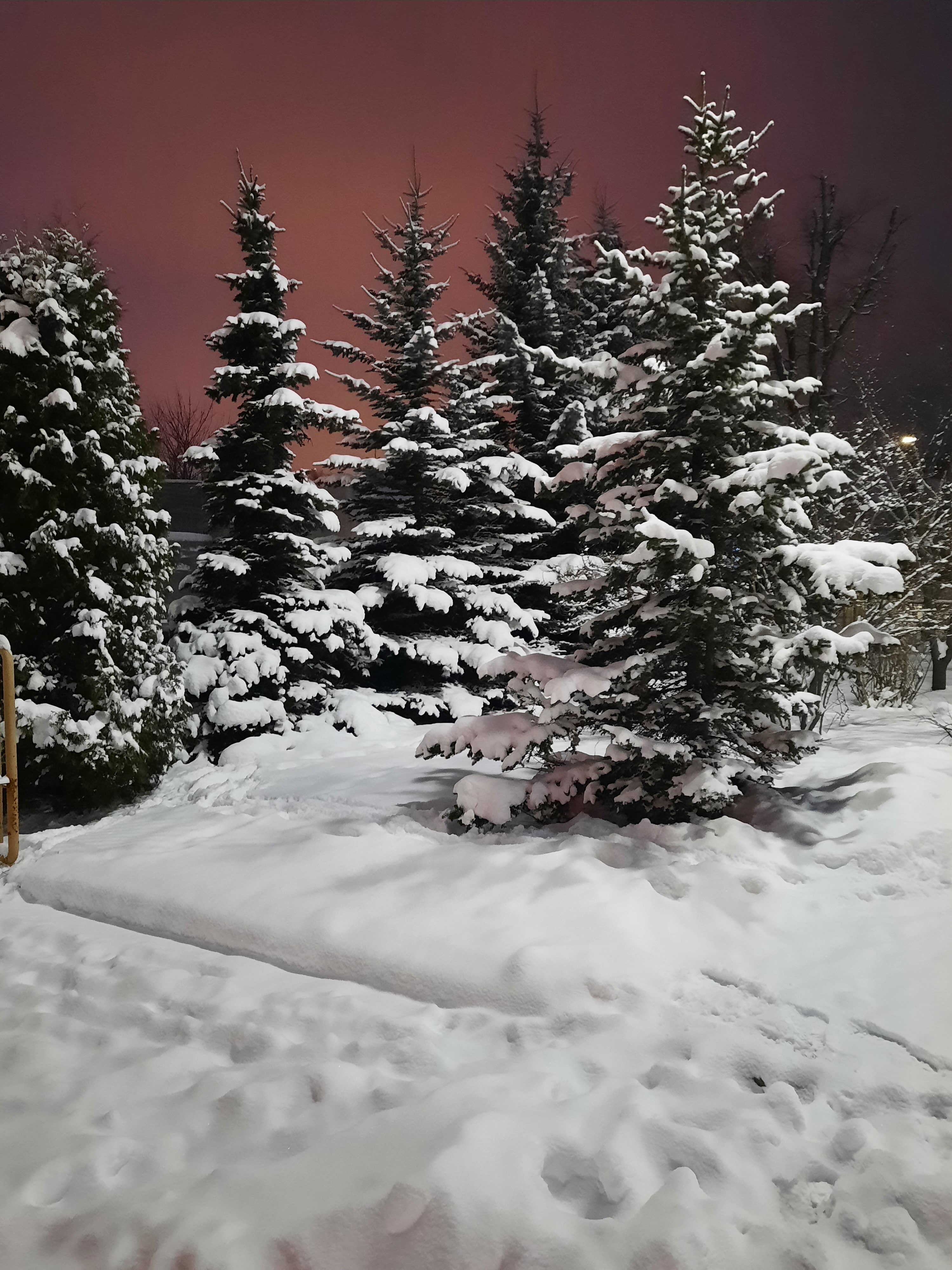 Фото Земляничные Холмы