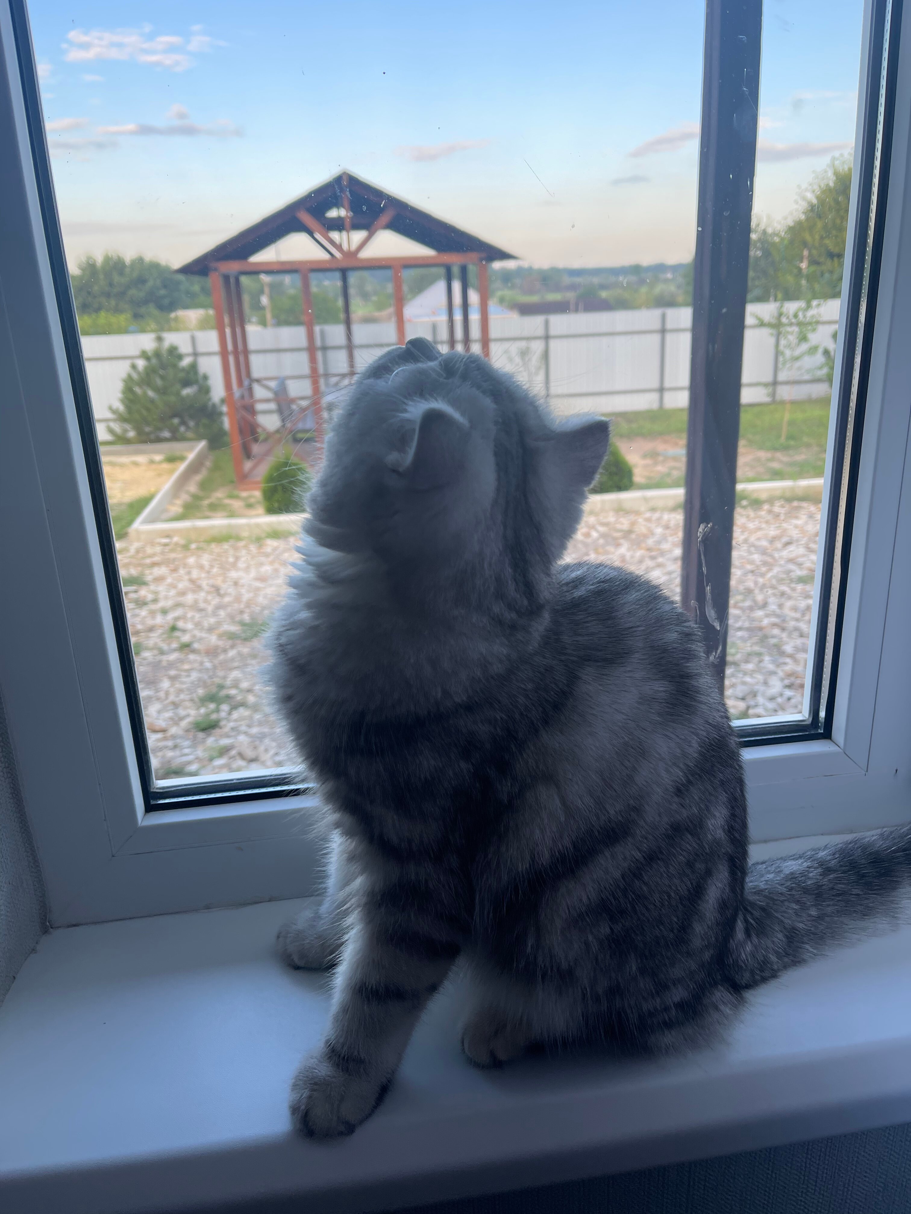 Фото Green house