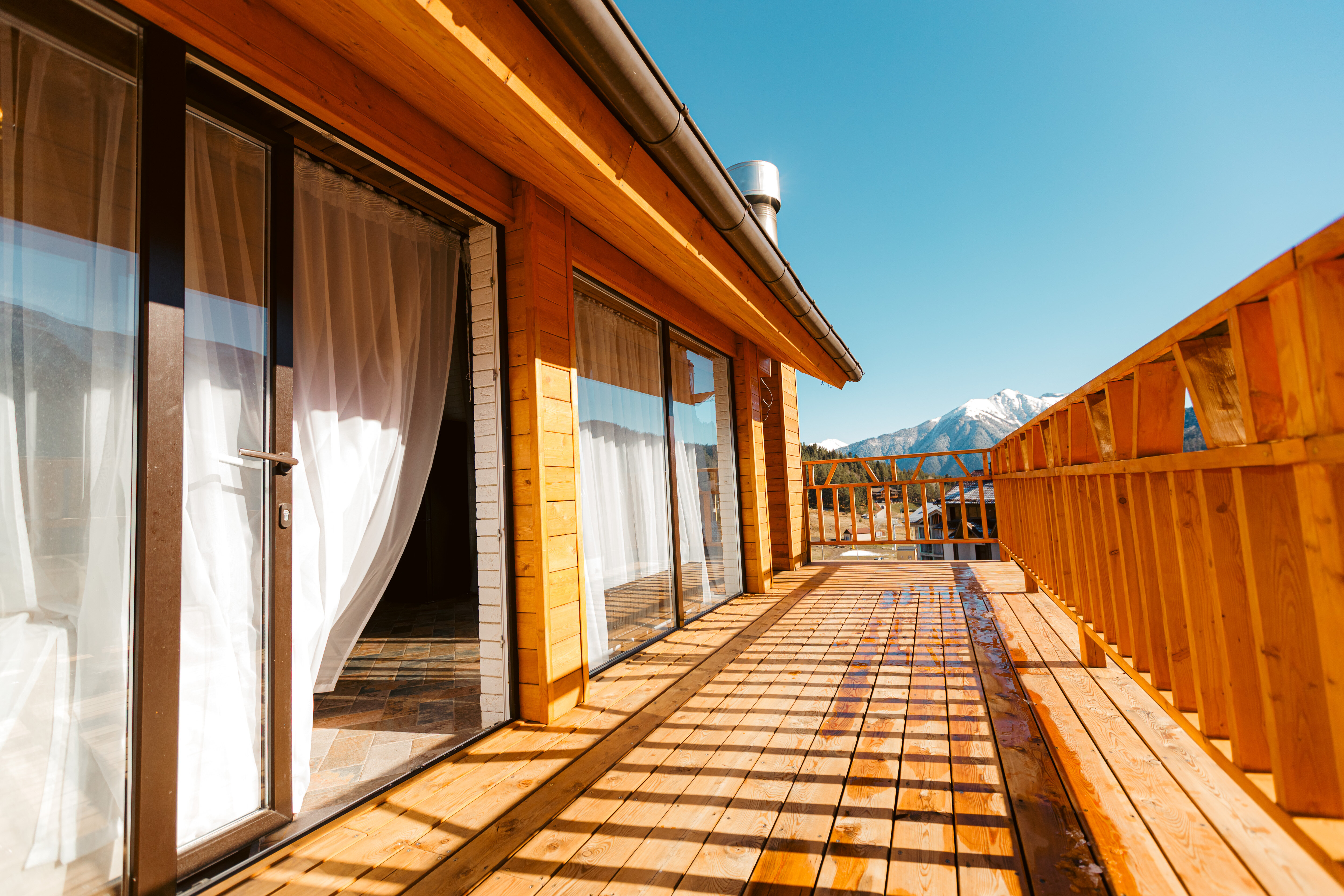 Фото Гризли