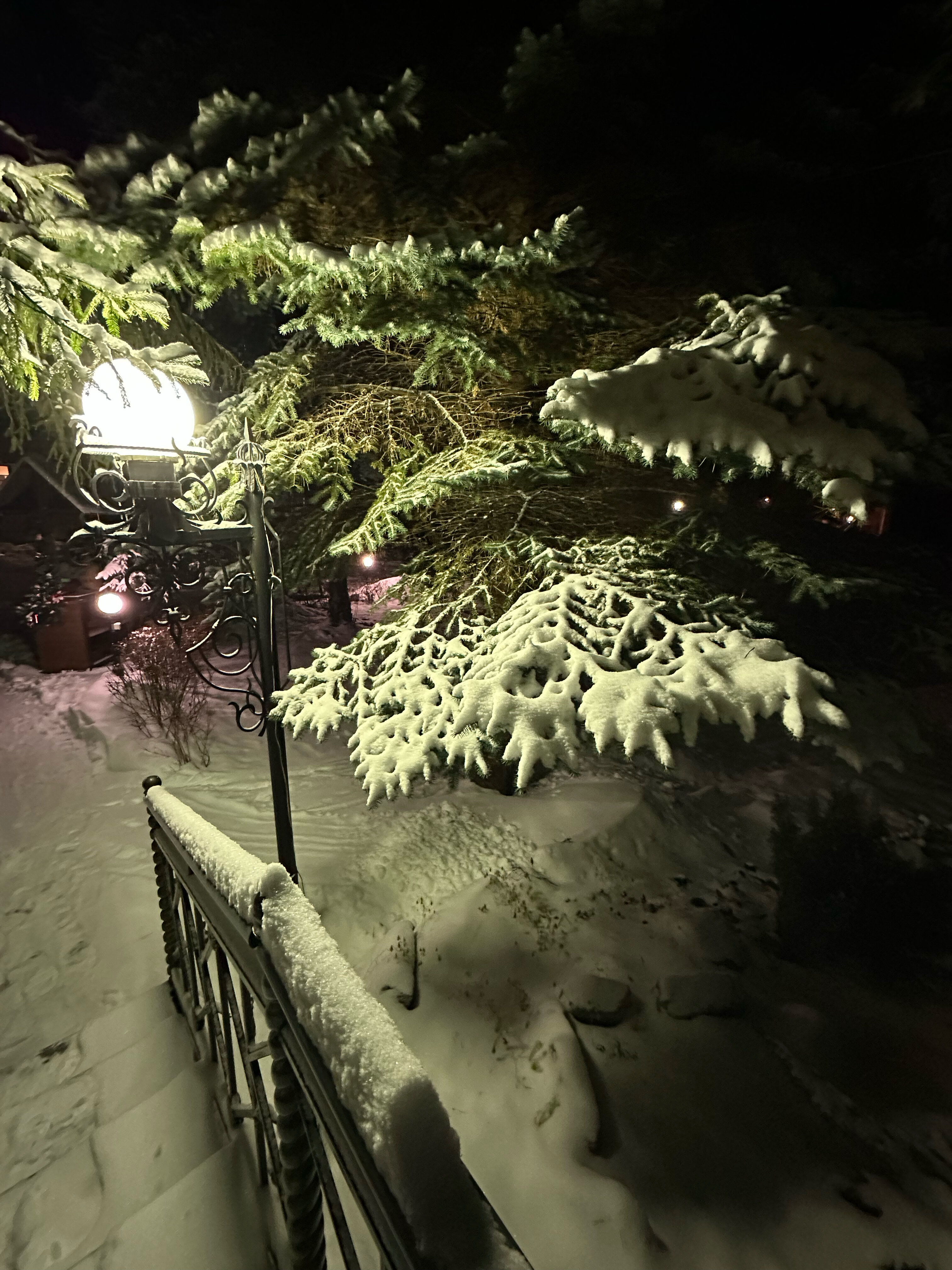 Фото Росинка