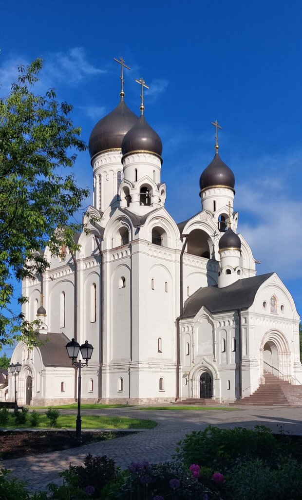 Community organization Obshee delo, Moscow, photo
