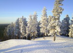 Pukhtolova Gora (St. Petersburg, Zelenogorsk, territoriya Pukhtolova Gora) ، منتجع للتزلج