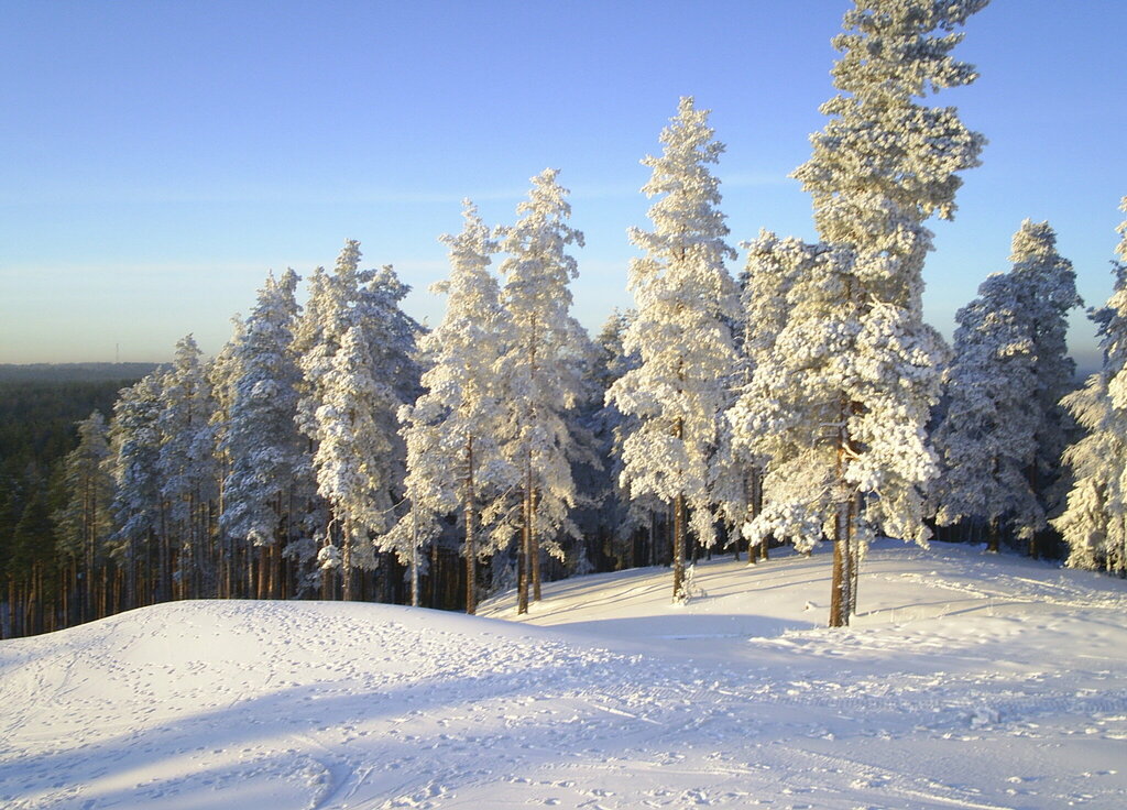 Горнолыжный комплекс Пухтолова гора, Зеленогорск, фото