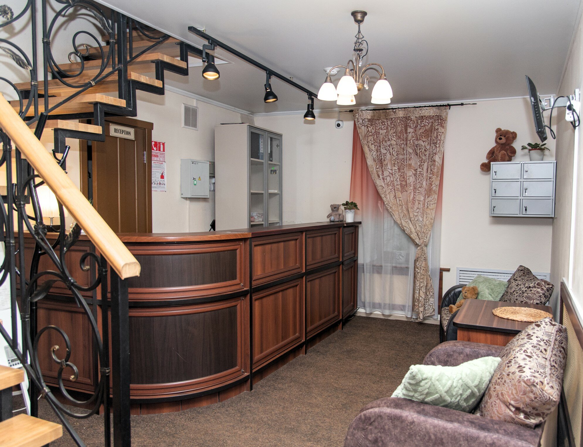 Фото Медведь