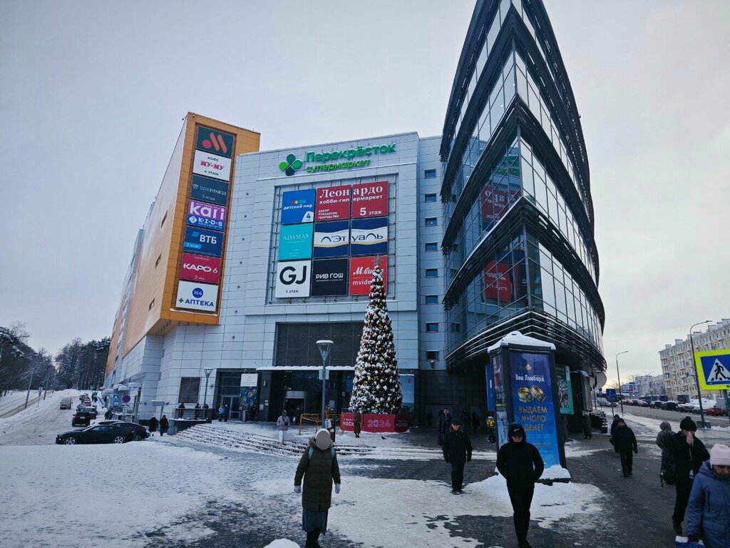 Contact lenses Linzy Tut, Moscow, photo