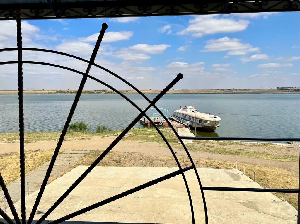 Фото Дельфин