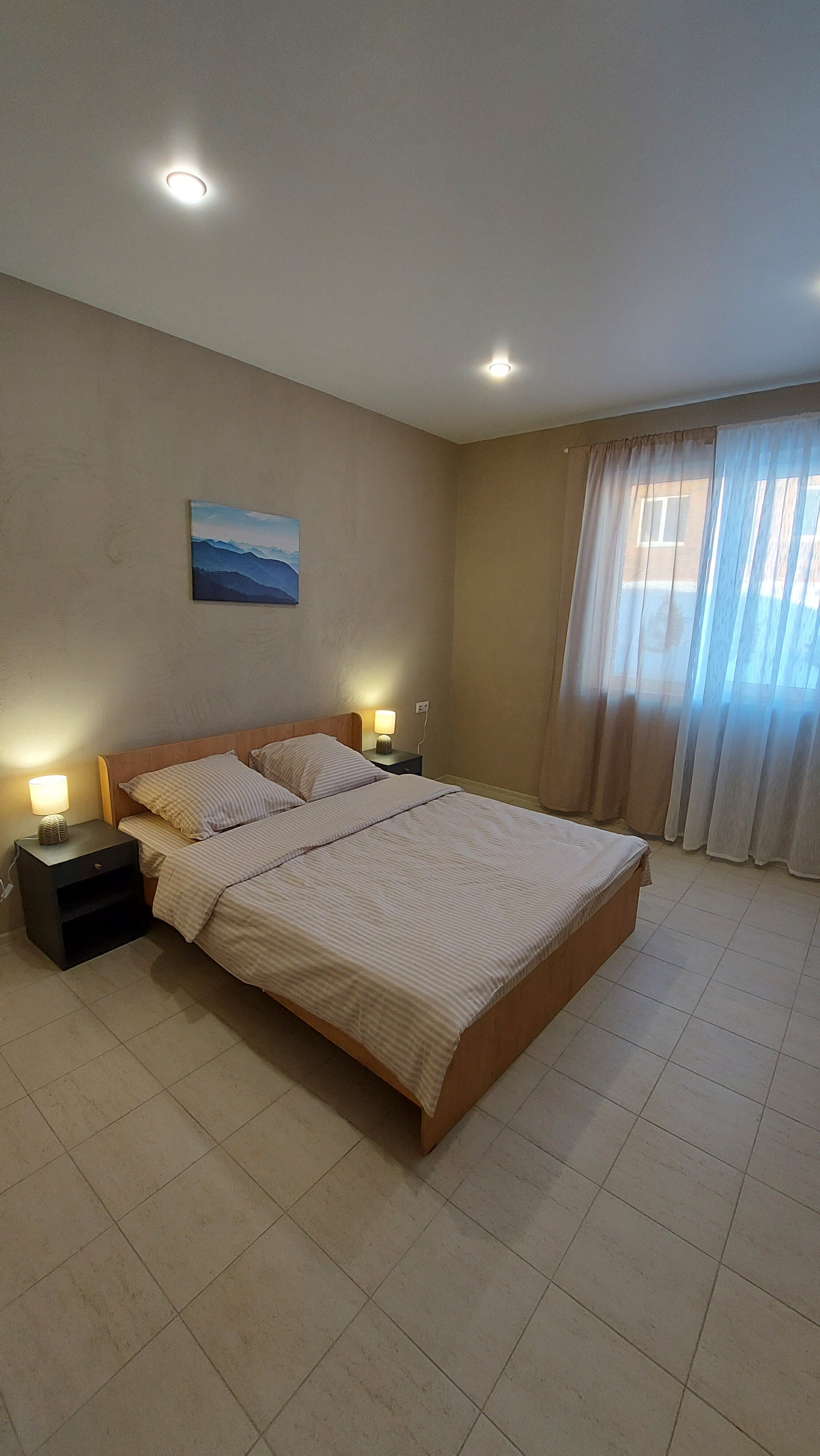 Фото Ёлки-Палки