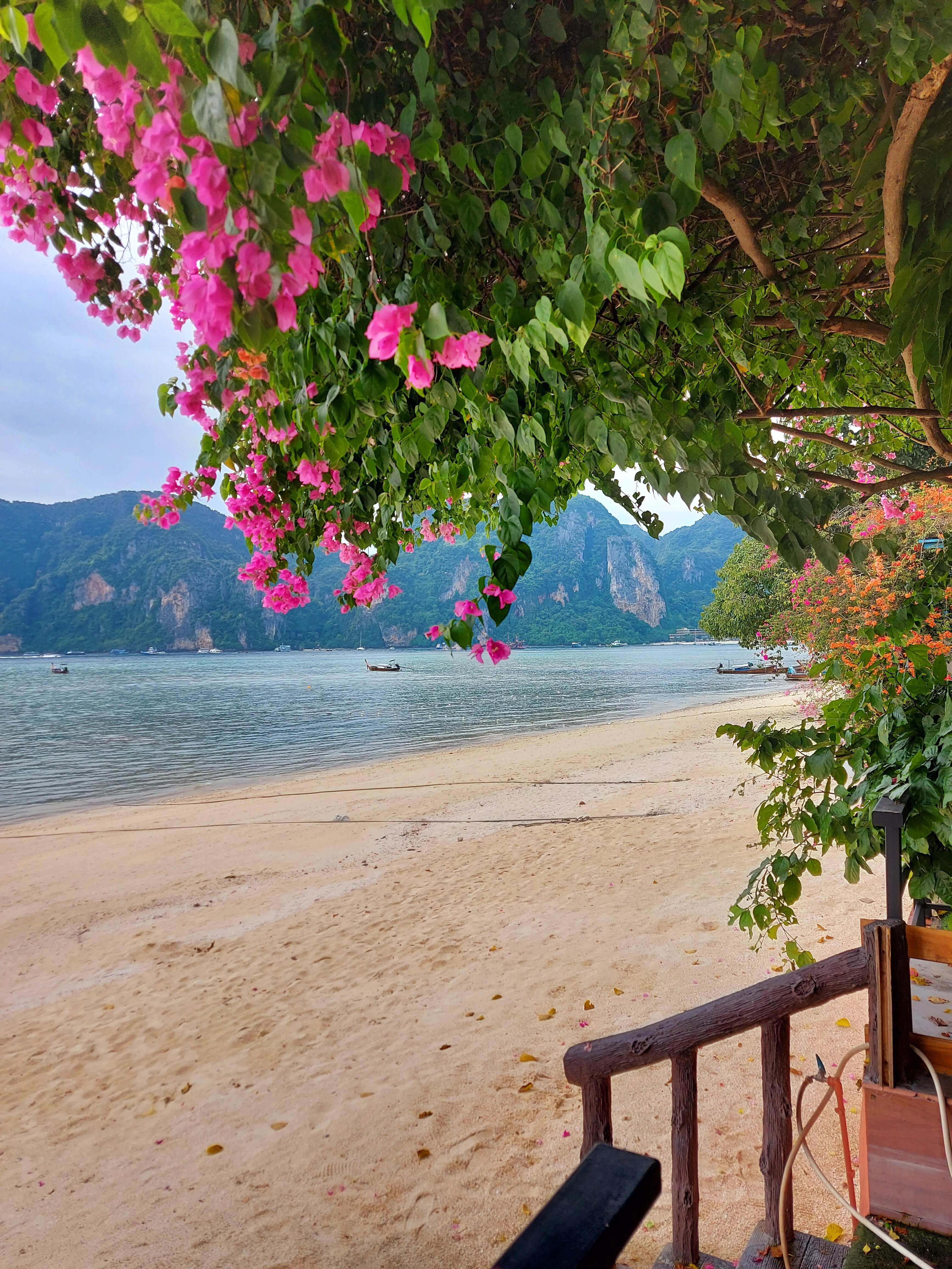 Фото Phi Phi Villa Resort