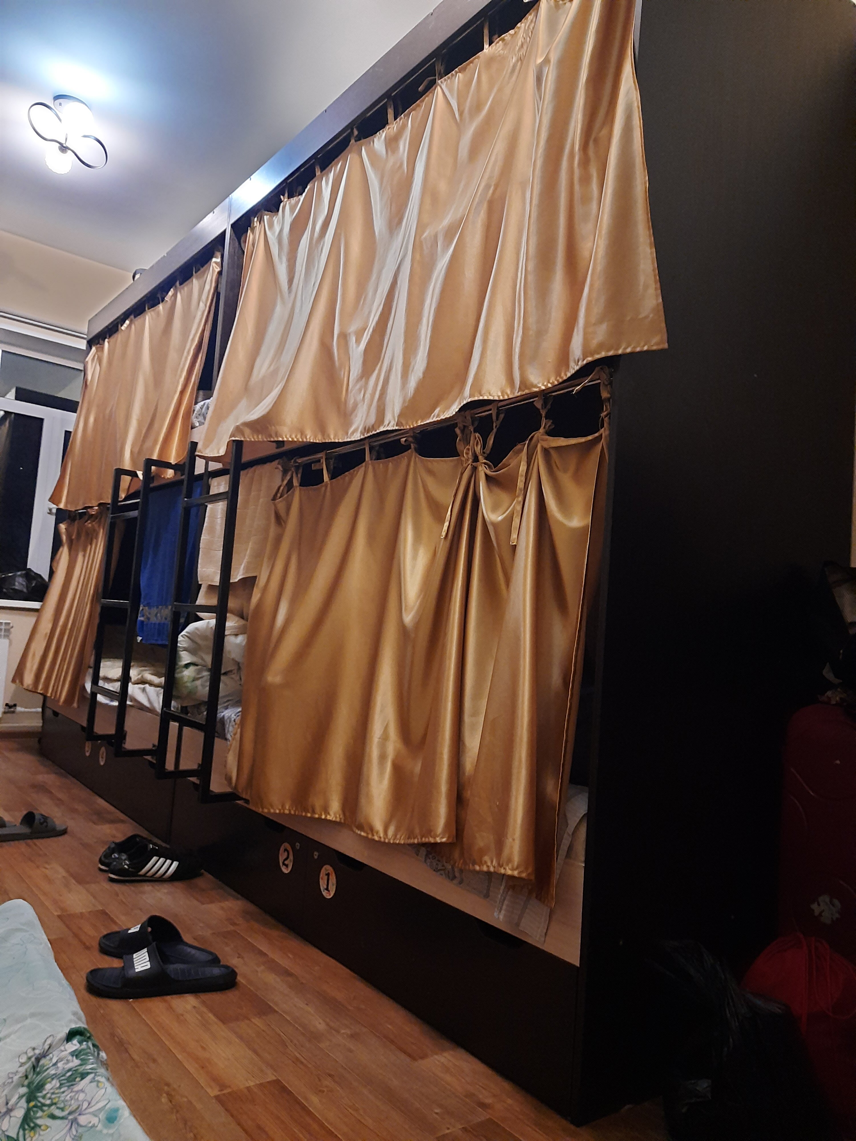 Фото Дружба