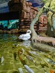 Samara Oceanarium (Moskovskoye shosse, 18-y kilometr, 23), oceanario