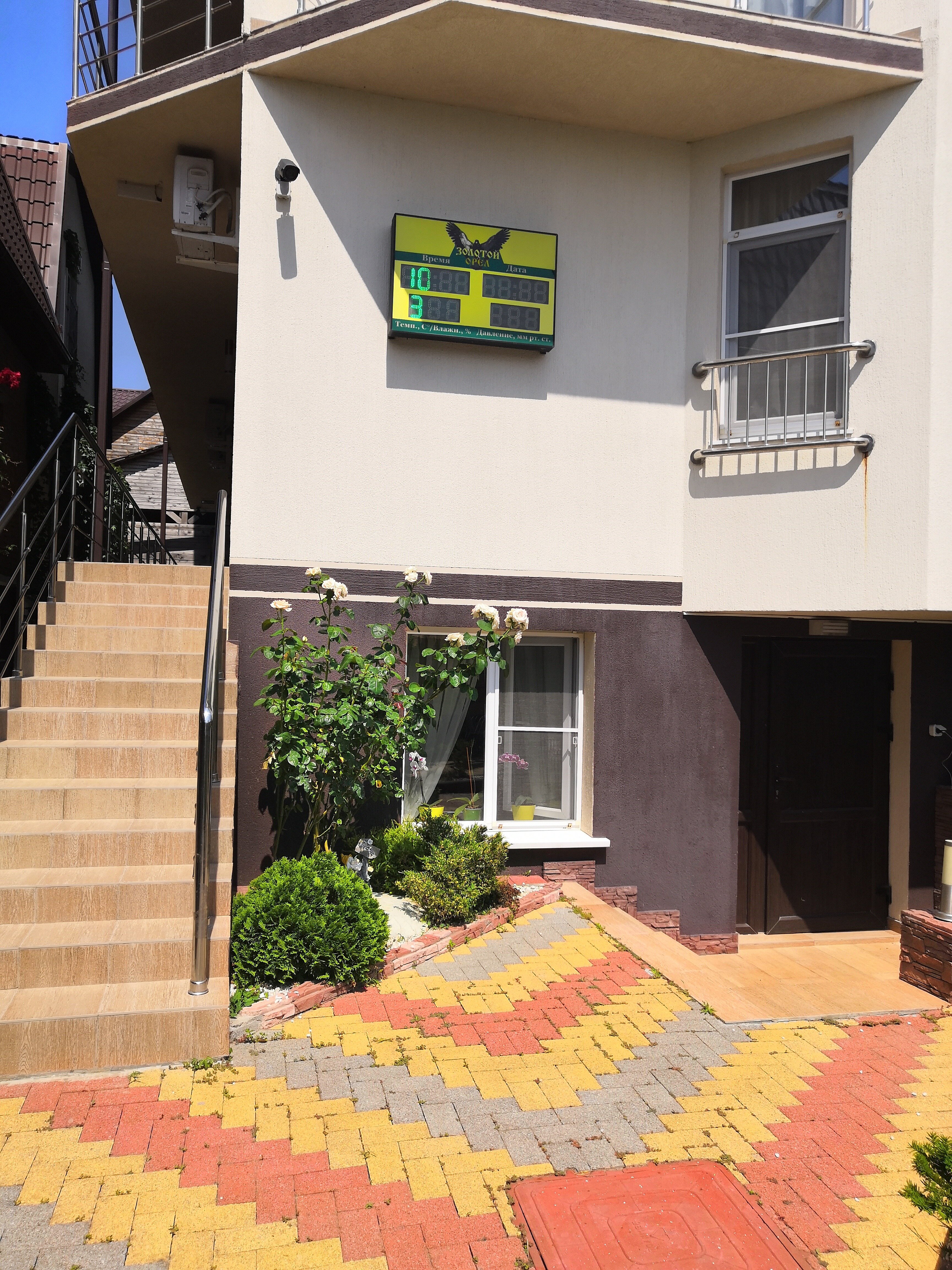 Фото Золотой Орел