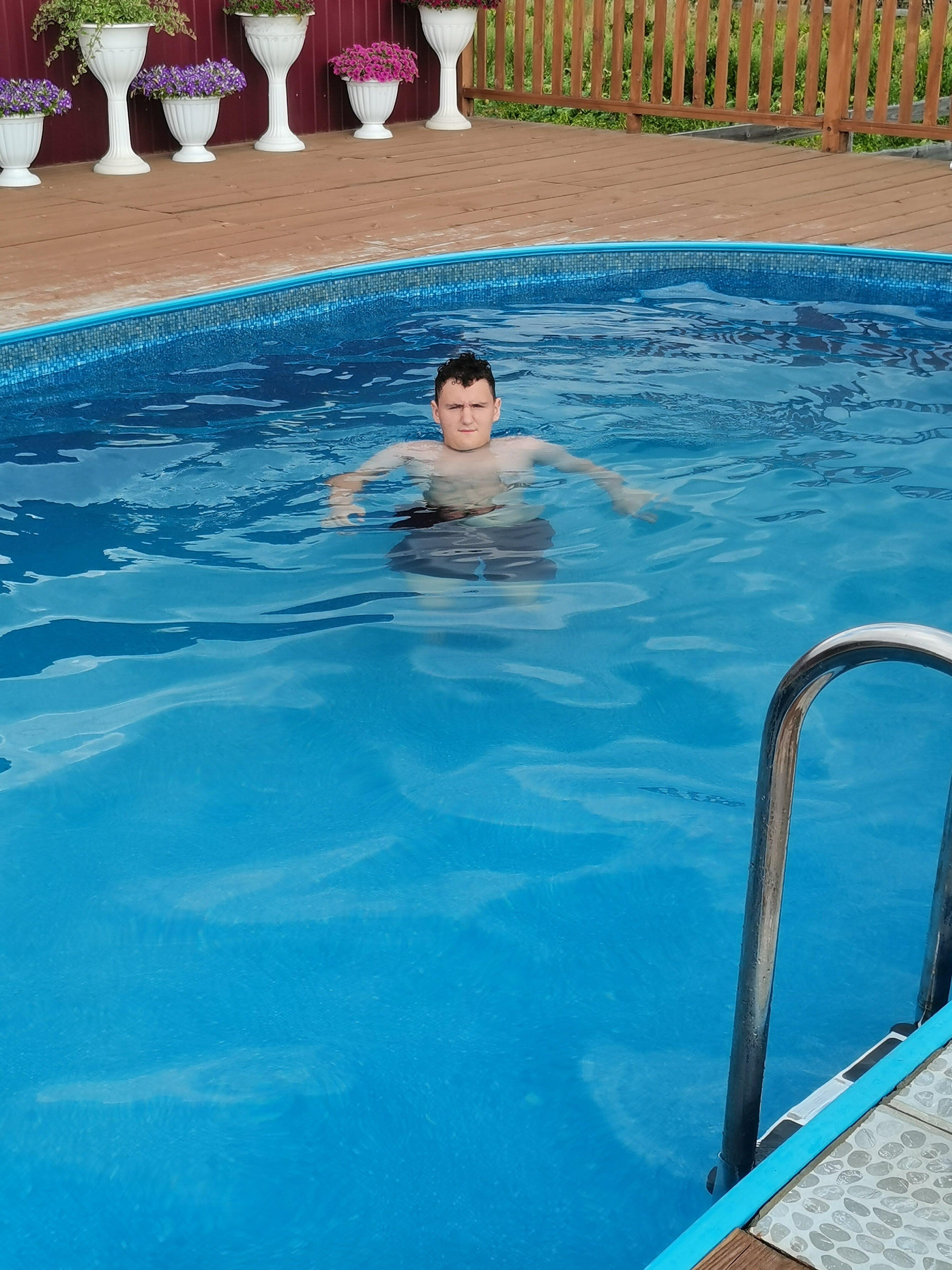 Фото Фламинго