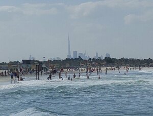 الأفراح (Mubarak Al Hasawi Block B, Majaz 3, Al Majaz) ، مقهى