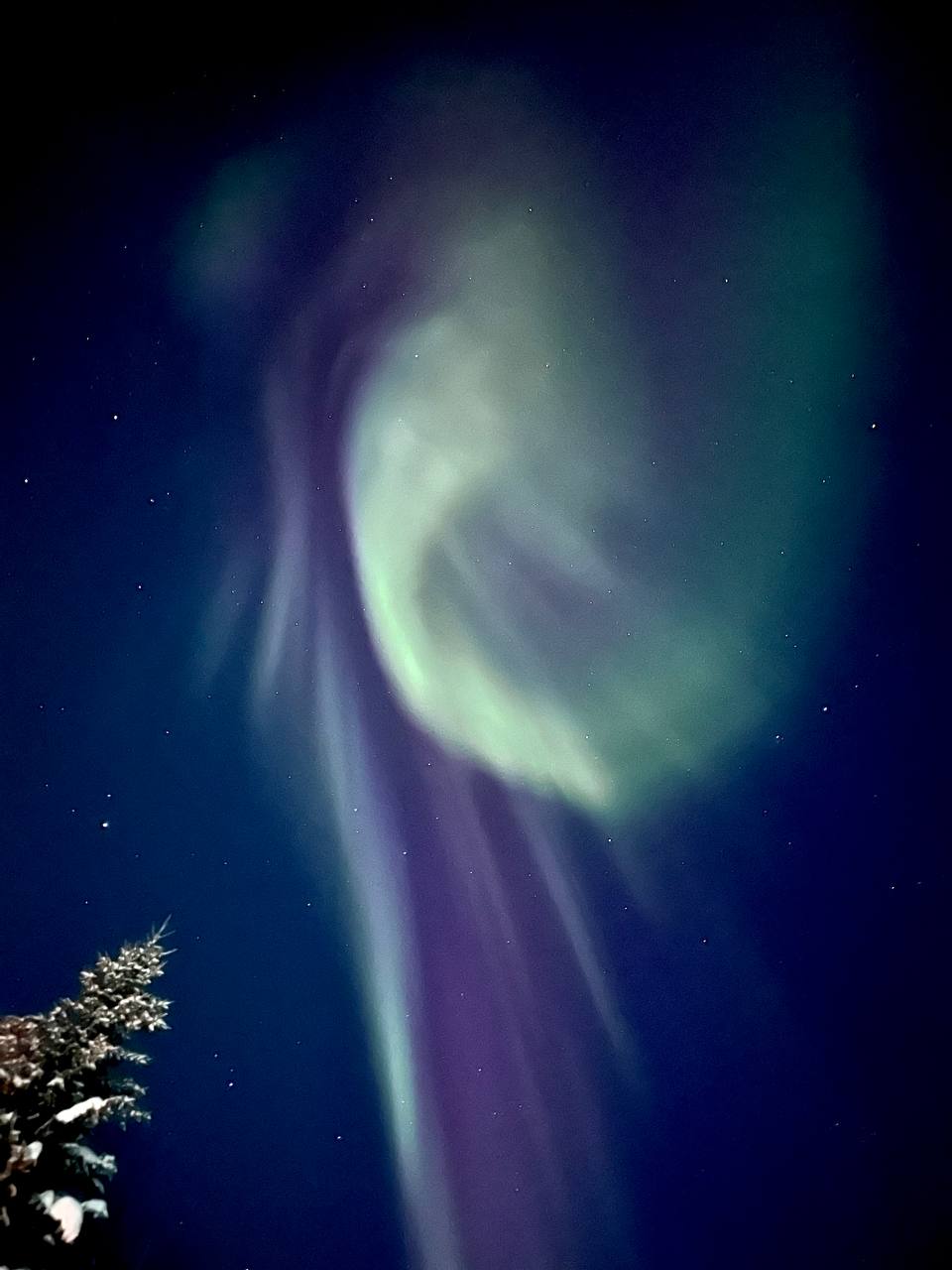 Фото Лапландия