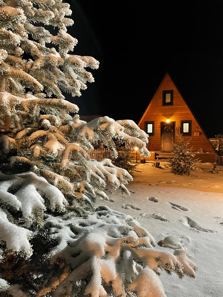 Фото Пятый сезон