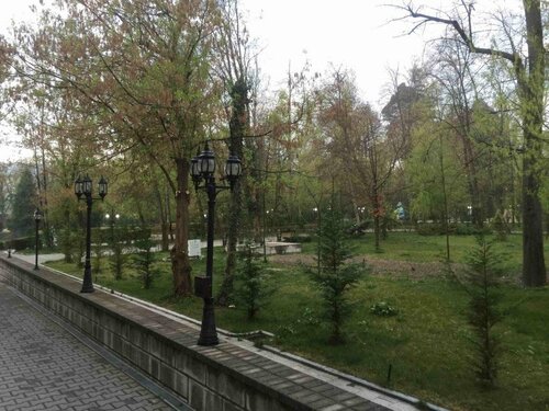 Гостиница Simfonia Boutique Hotel в Вылче