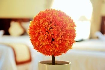 Фото Green Bud Homestay