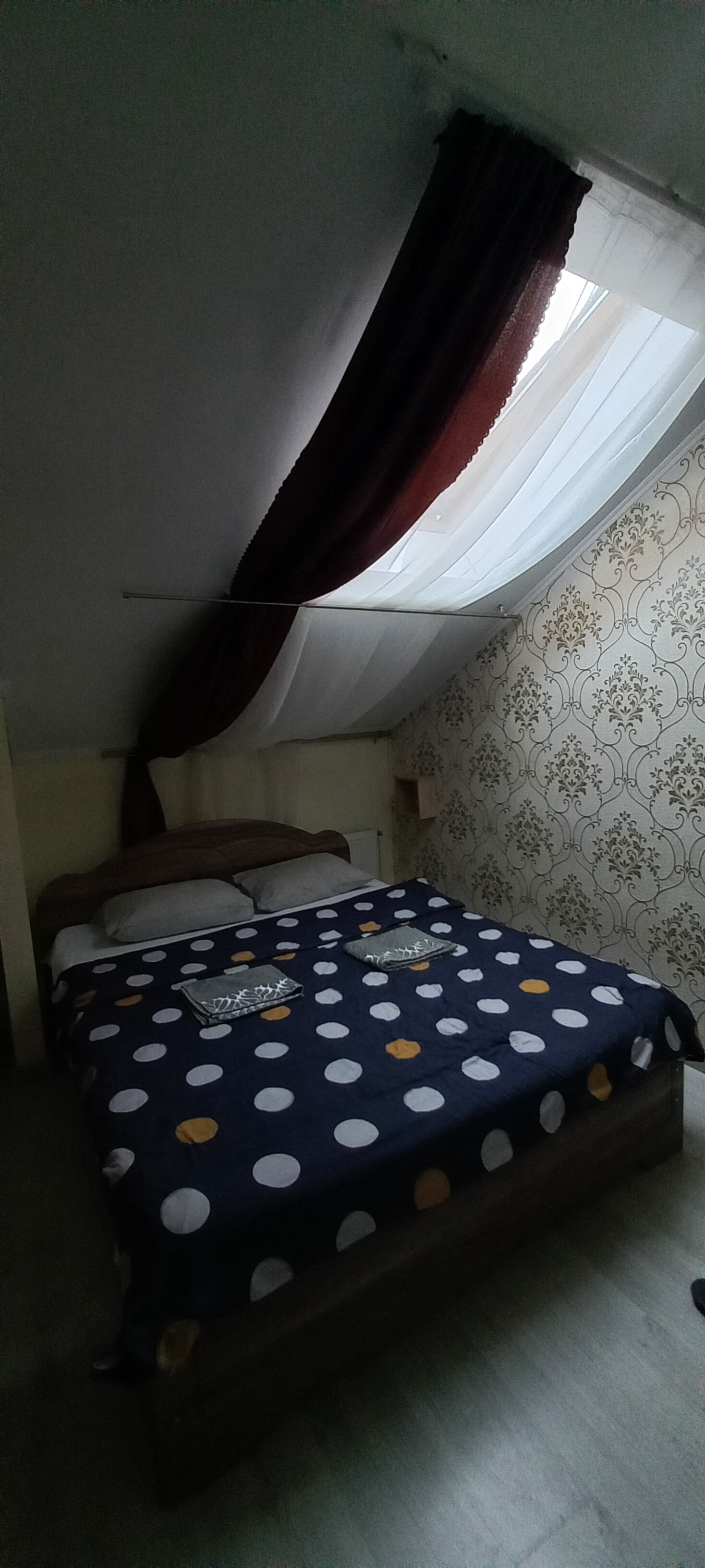 Фото Концерт