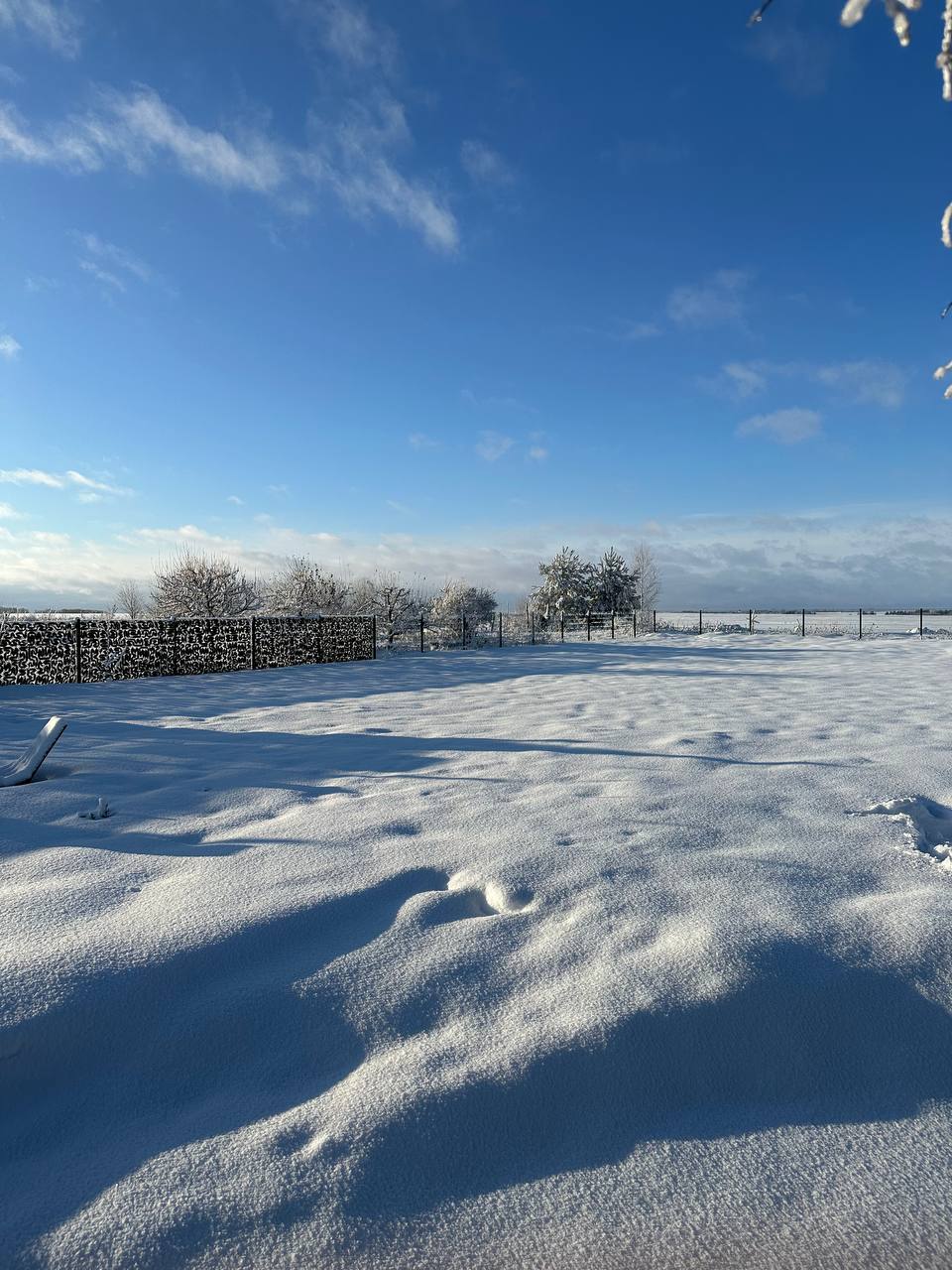 Фото Дубль Дача