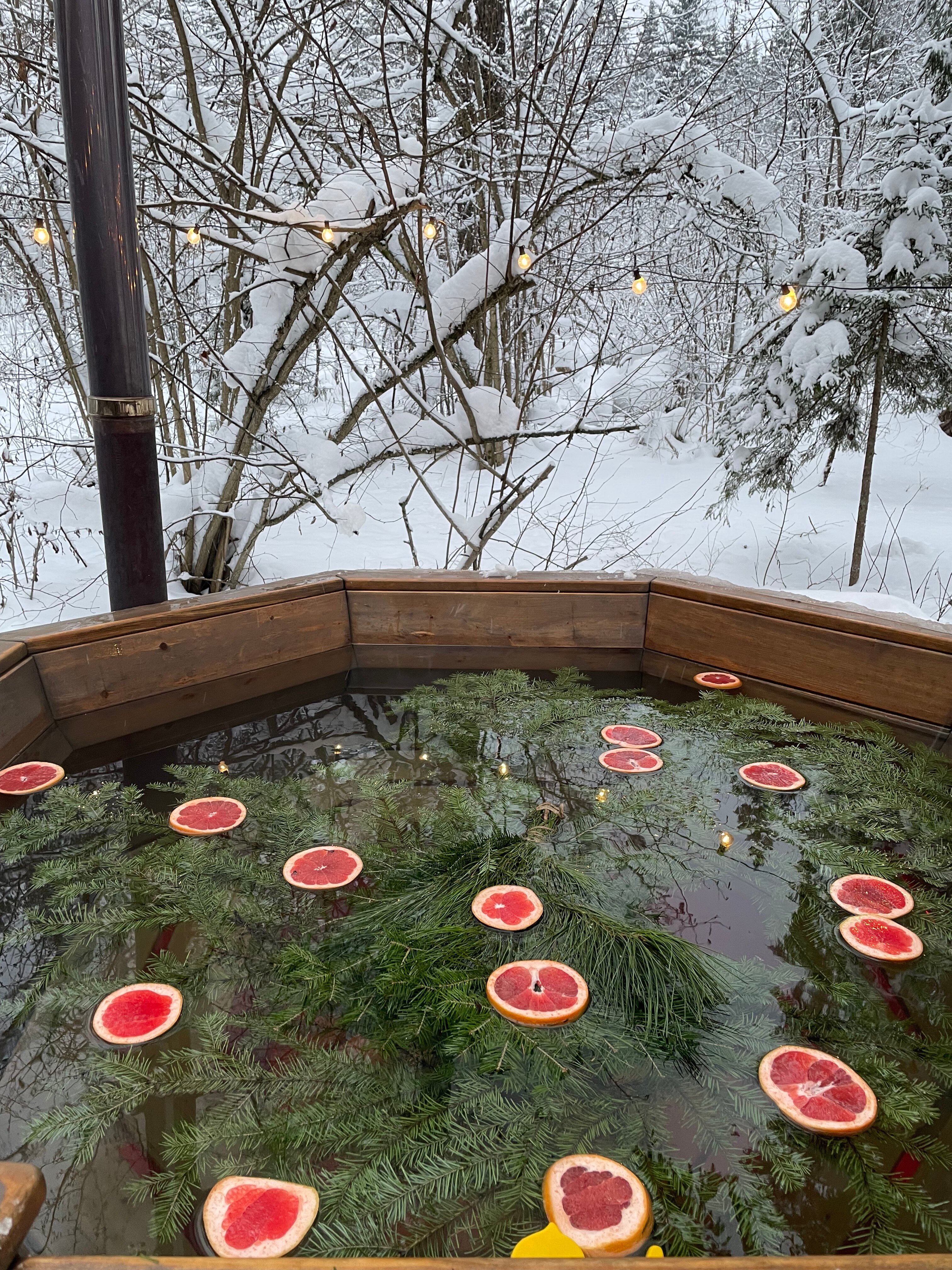 Фото Lesnitsyno_dacha