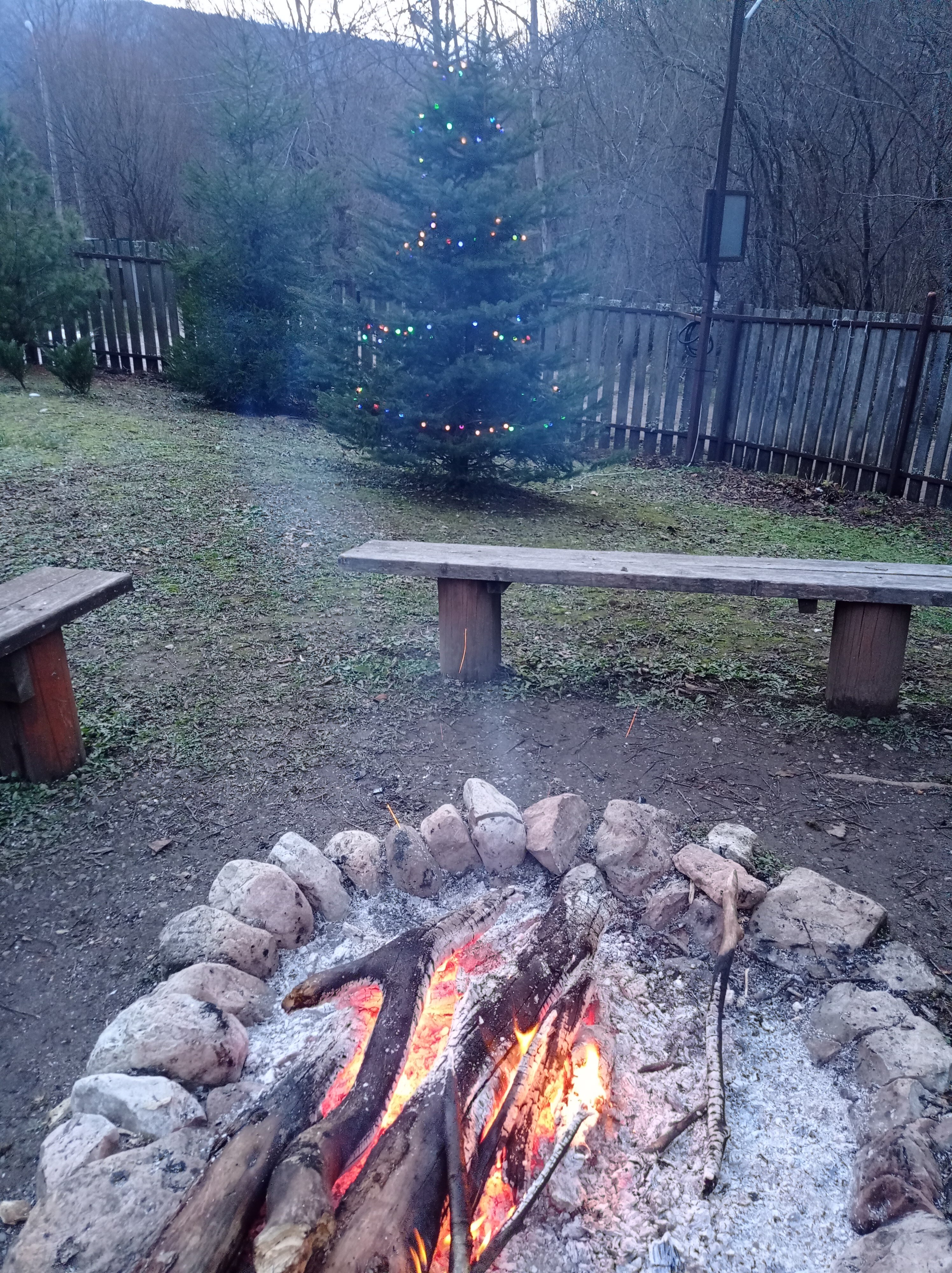 Фото Лесной